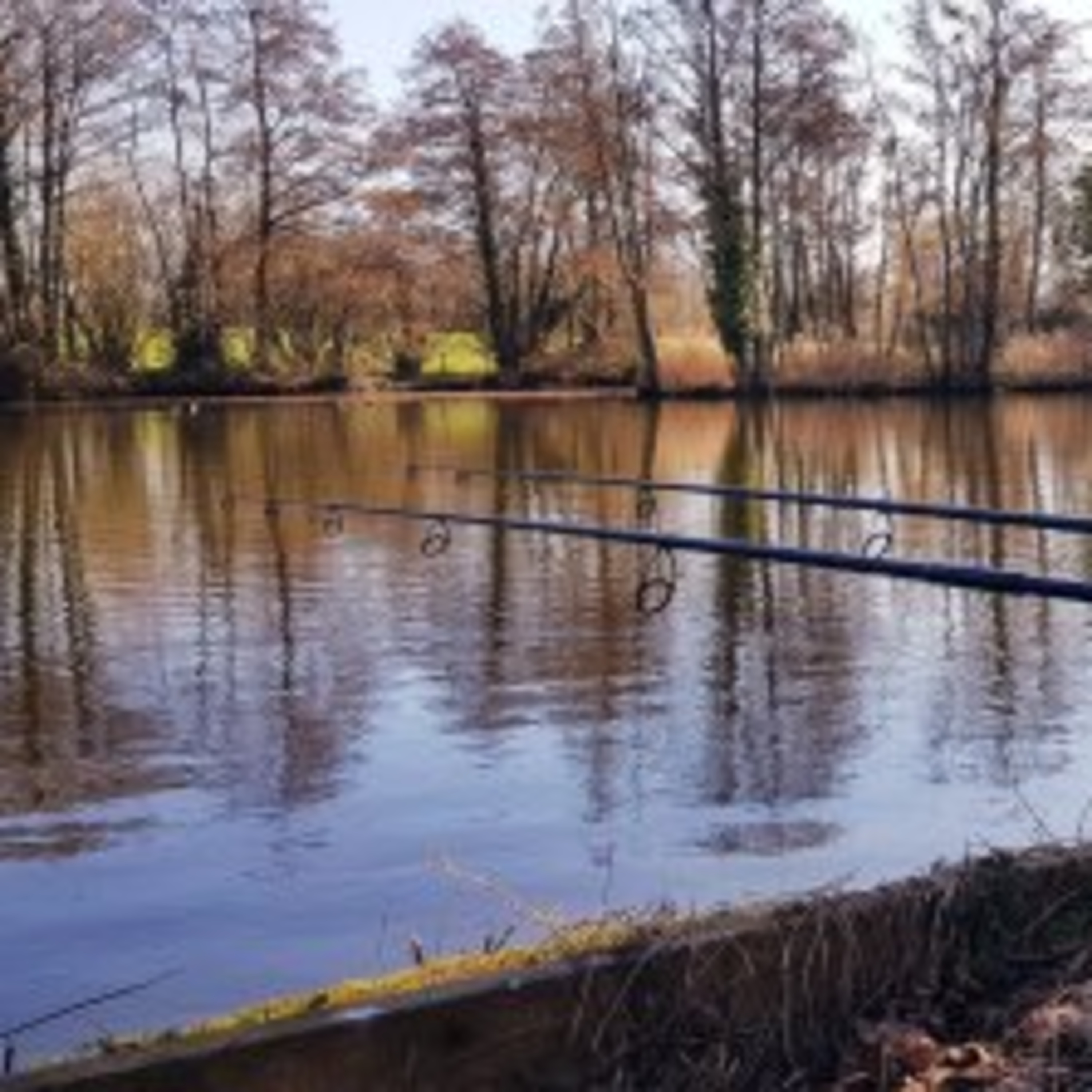 Trip 16 Carp Fishing – 2021 episode artwork