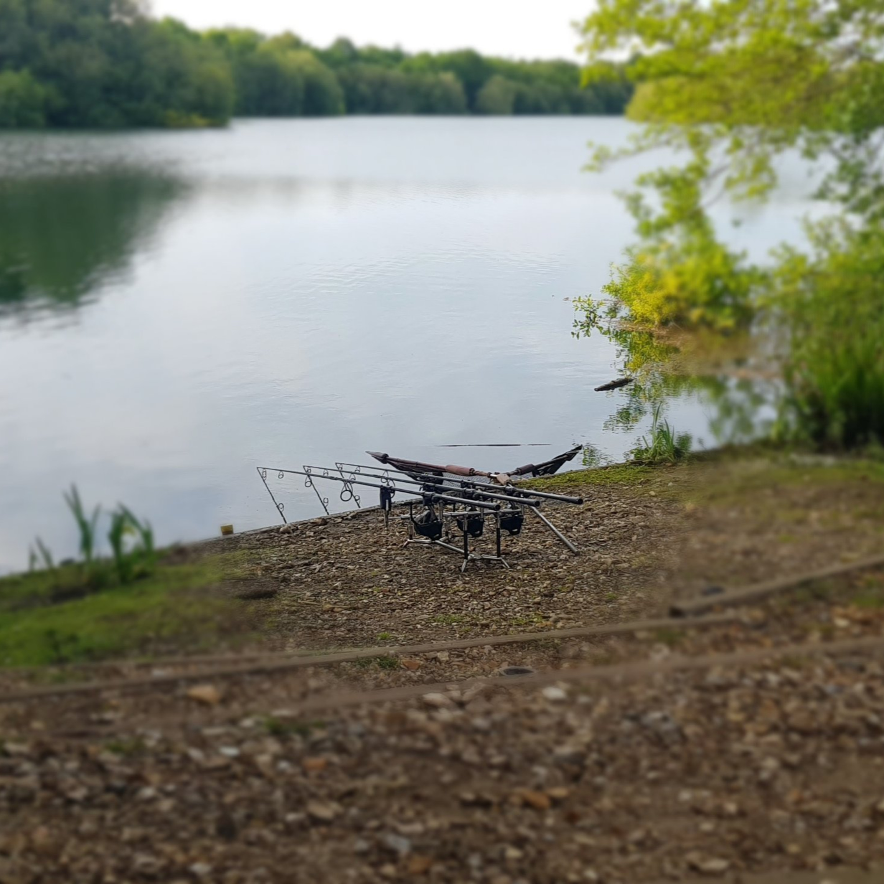 Trip 32 Carp Fishing – 2021 episode artwork