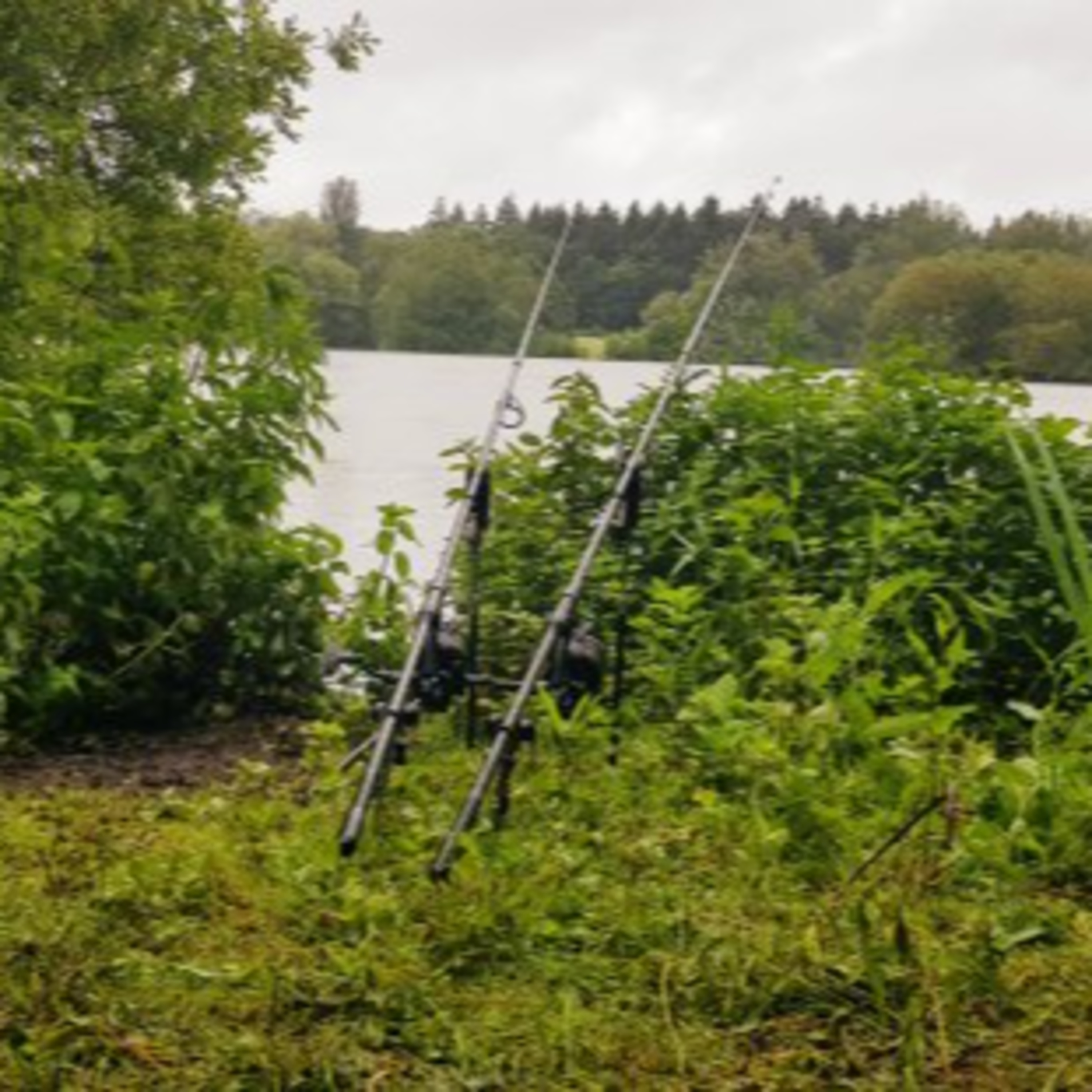 Trip 35 Carp Fishing – 2021 episode artwork