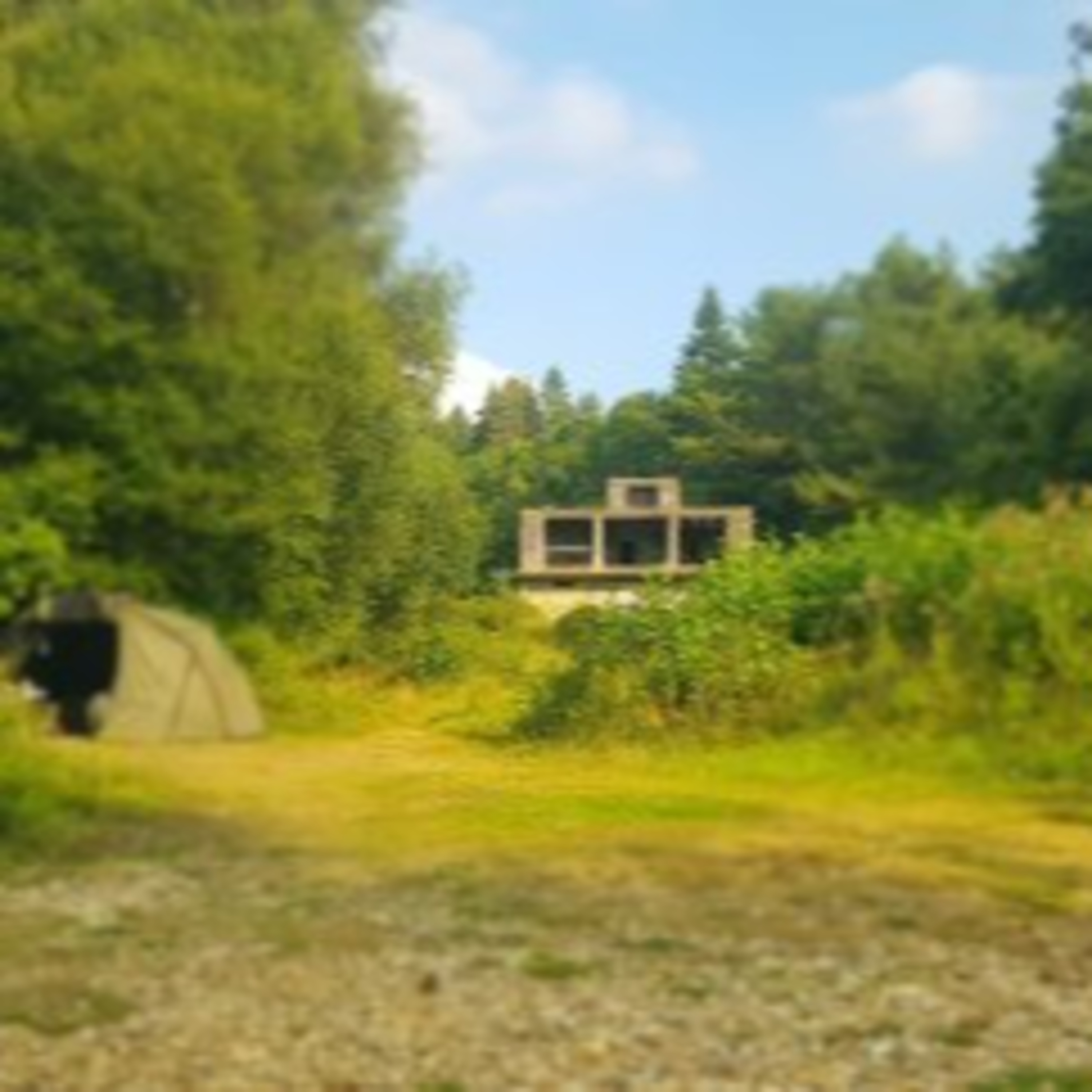 Trip 45 Carp Fishing – 2021 episode artwork