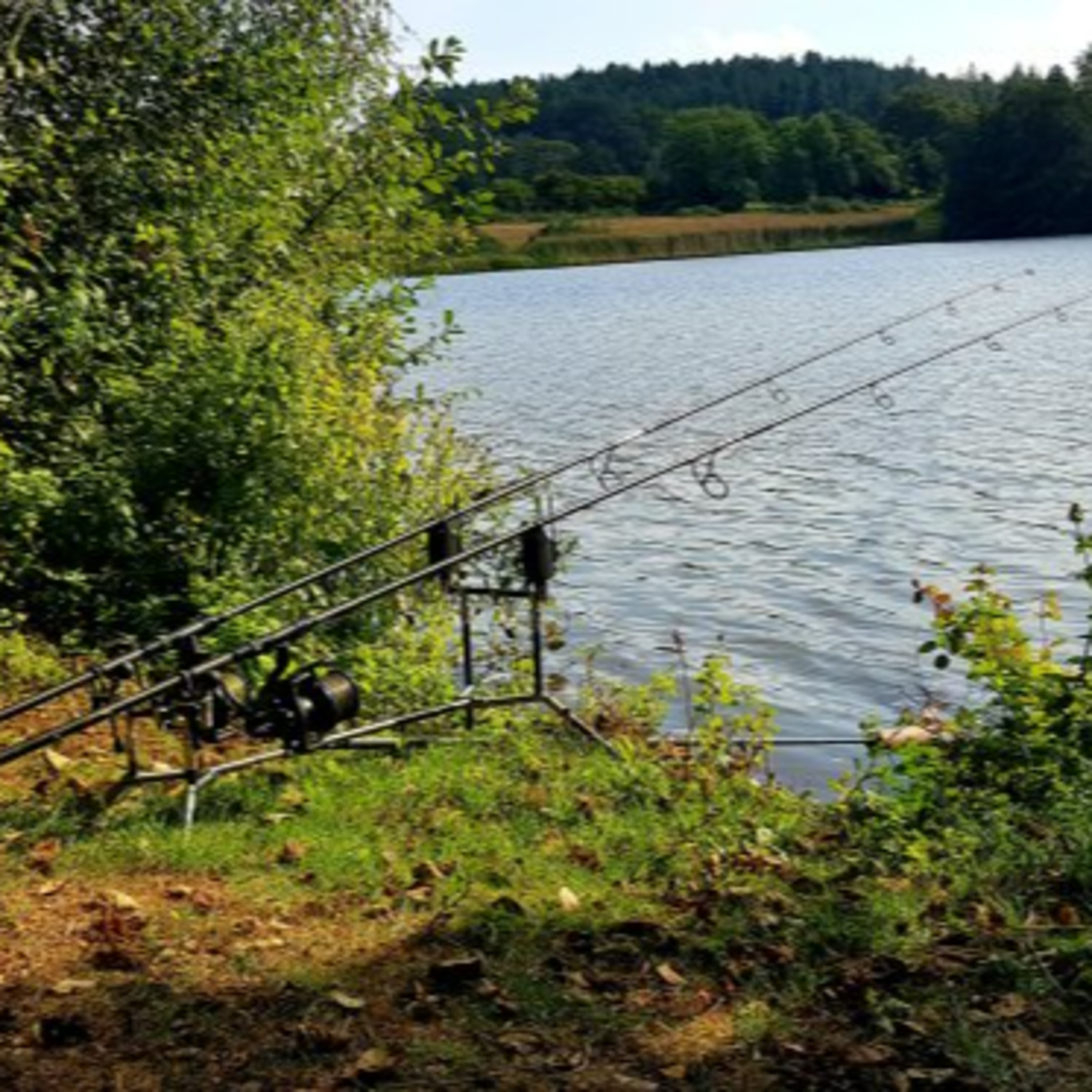 Trip 49 Carp Fishing – 2021 episode artwork