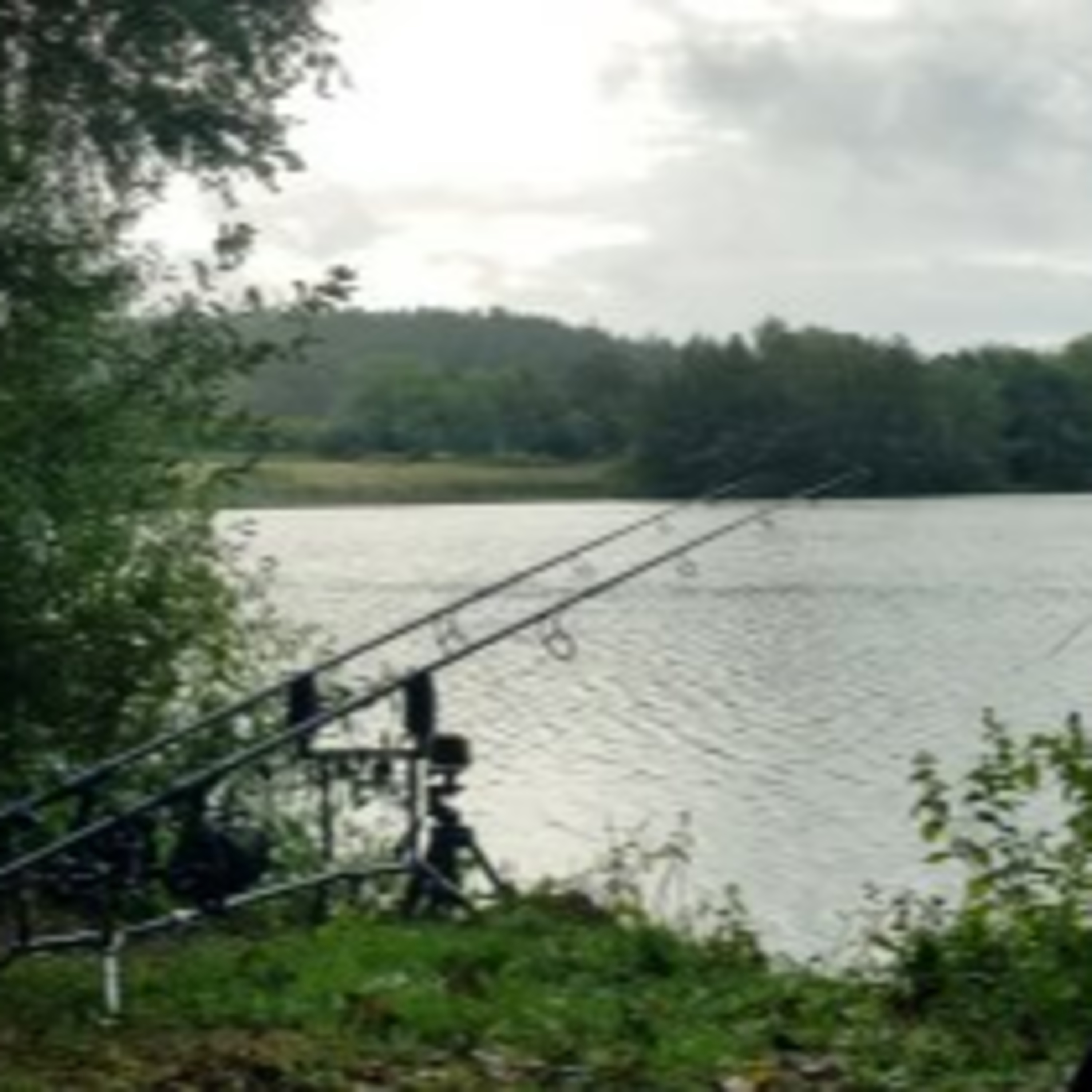 Trip 50 Carp Fishing – 2021 episode artwork