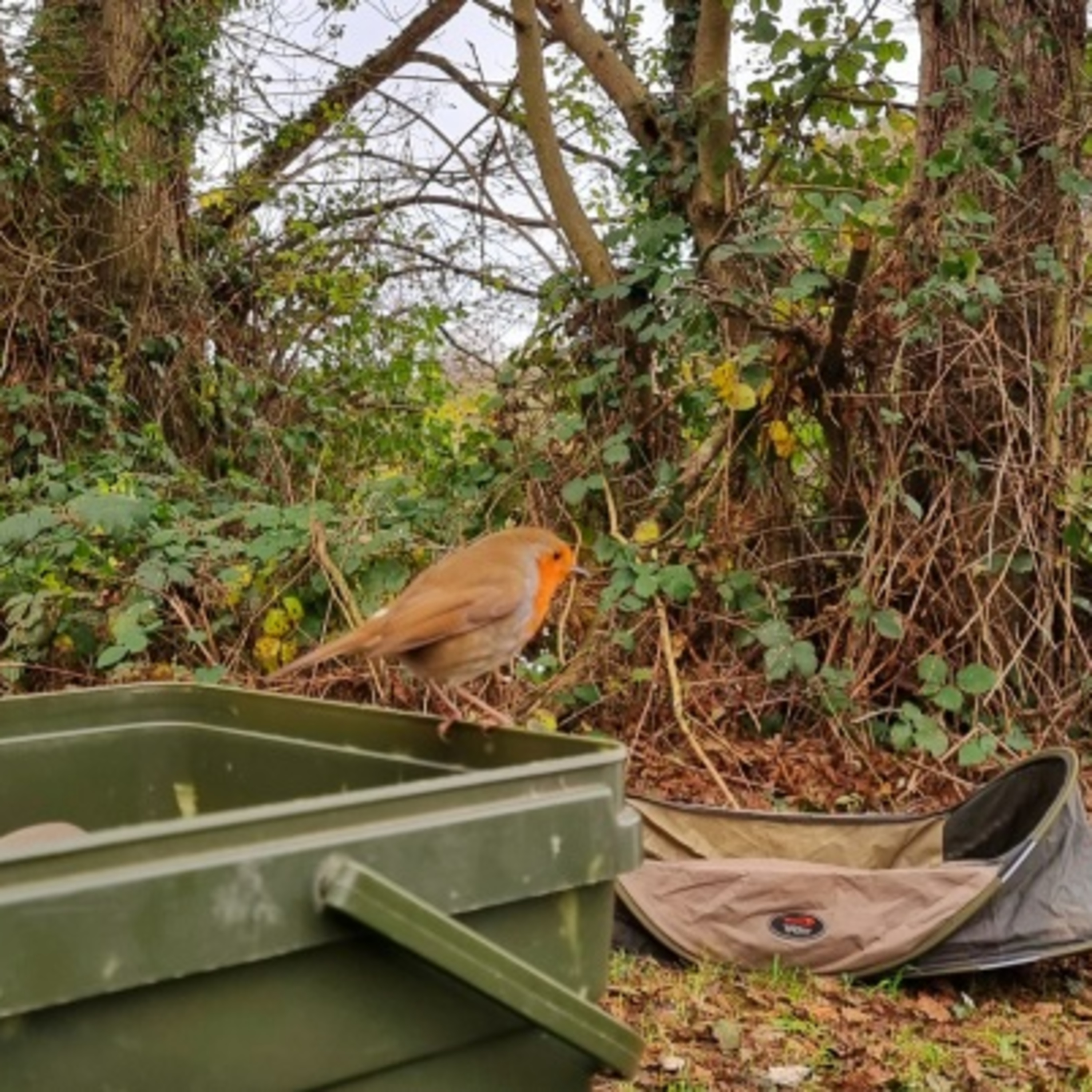 Trip 59 Carp Fishing- 2021 episode artwork
