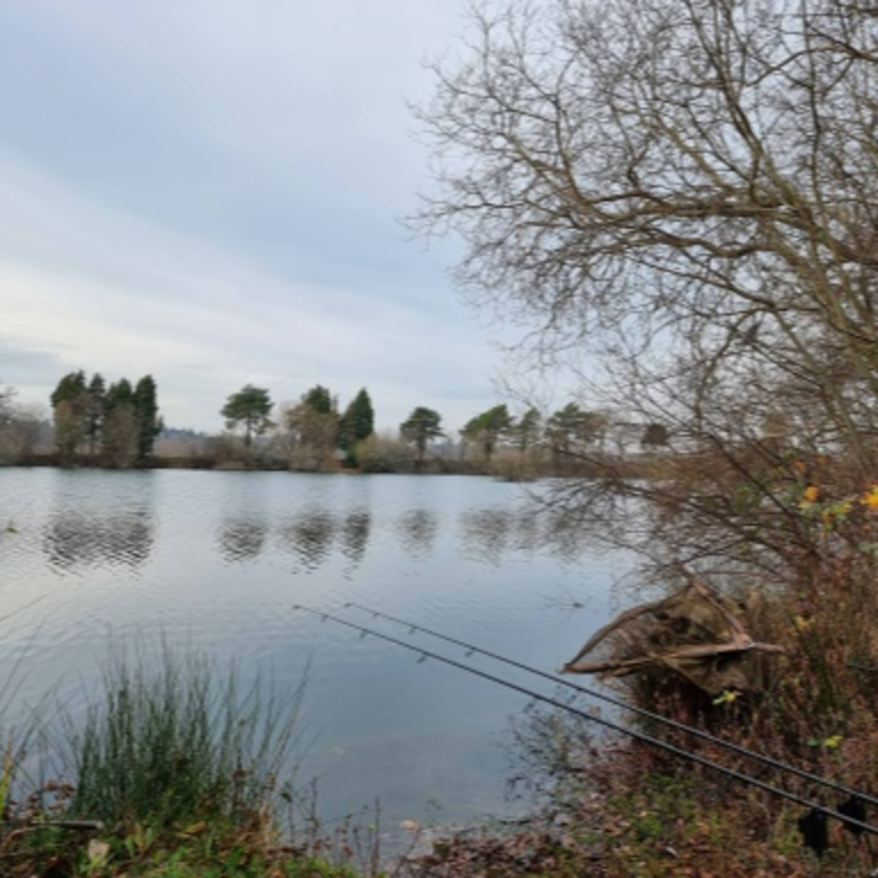 Trip 63 Carp Fishing – 2021 episode artwork
