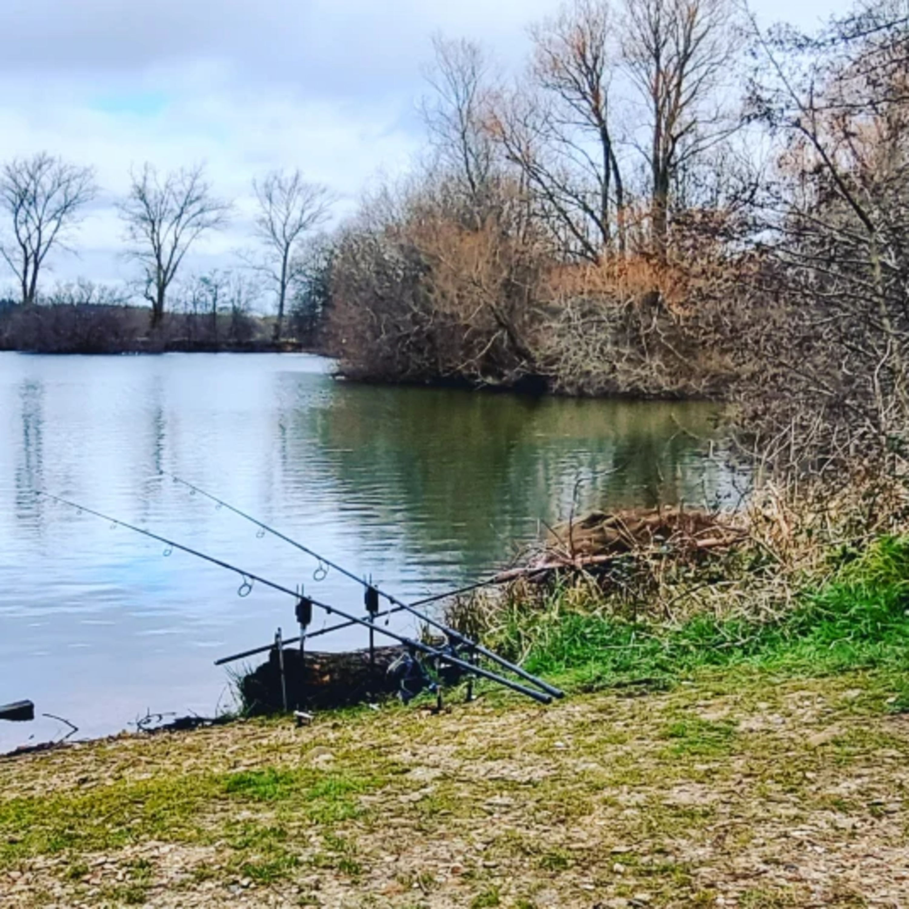 Fishing Tales And Stories