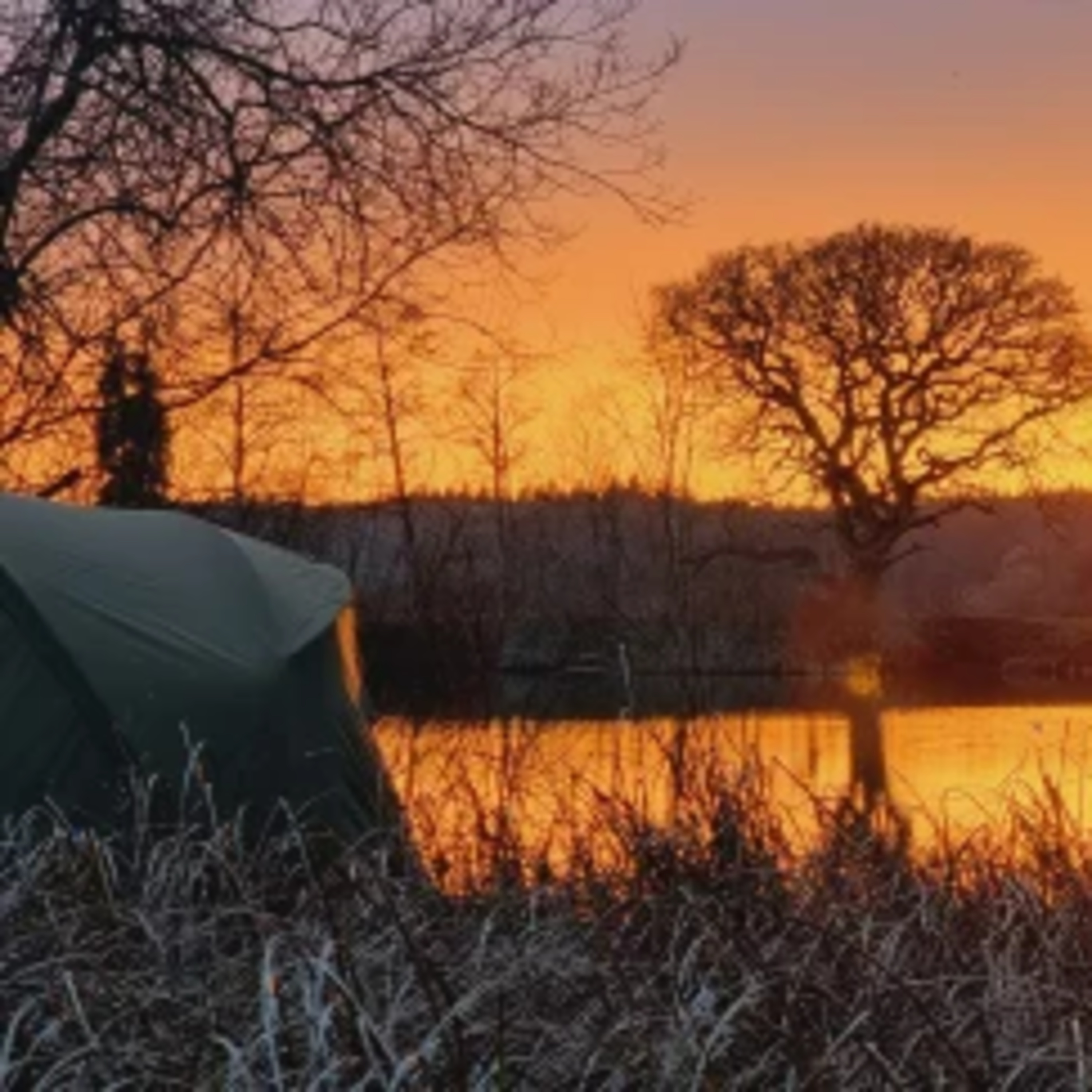 Trip 14 Carp Fishing – 2022 episode artwork