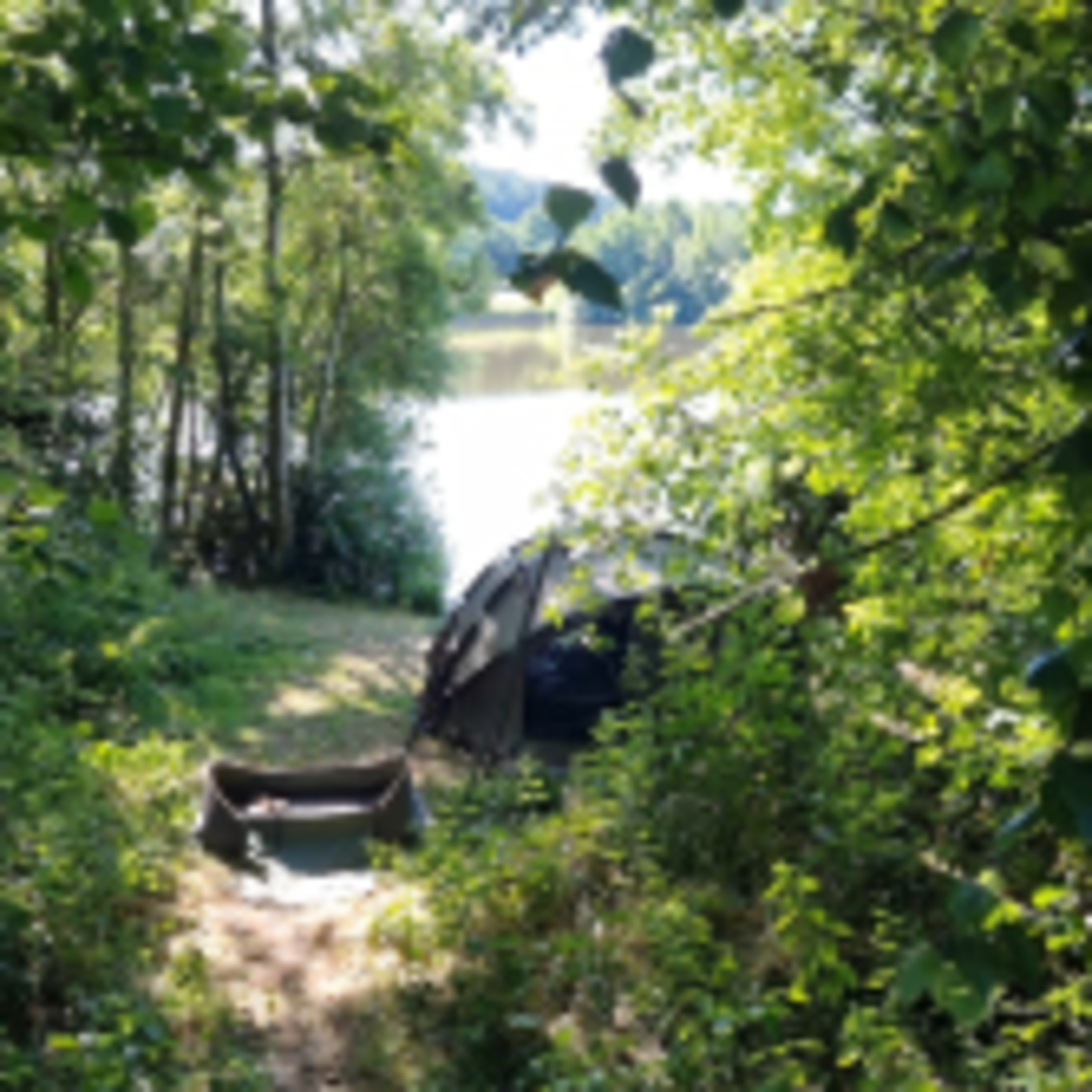 Trip 35 Carp Fishing – 2022 episode artwork
