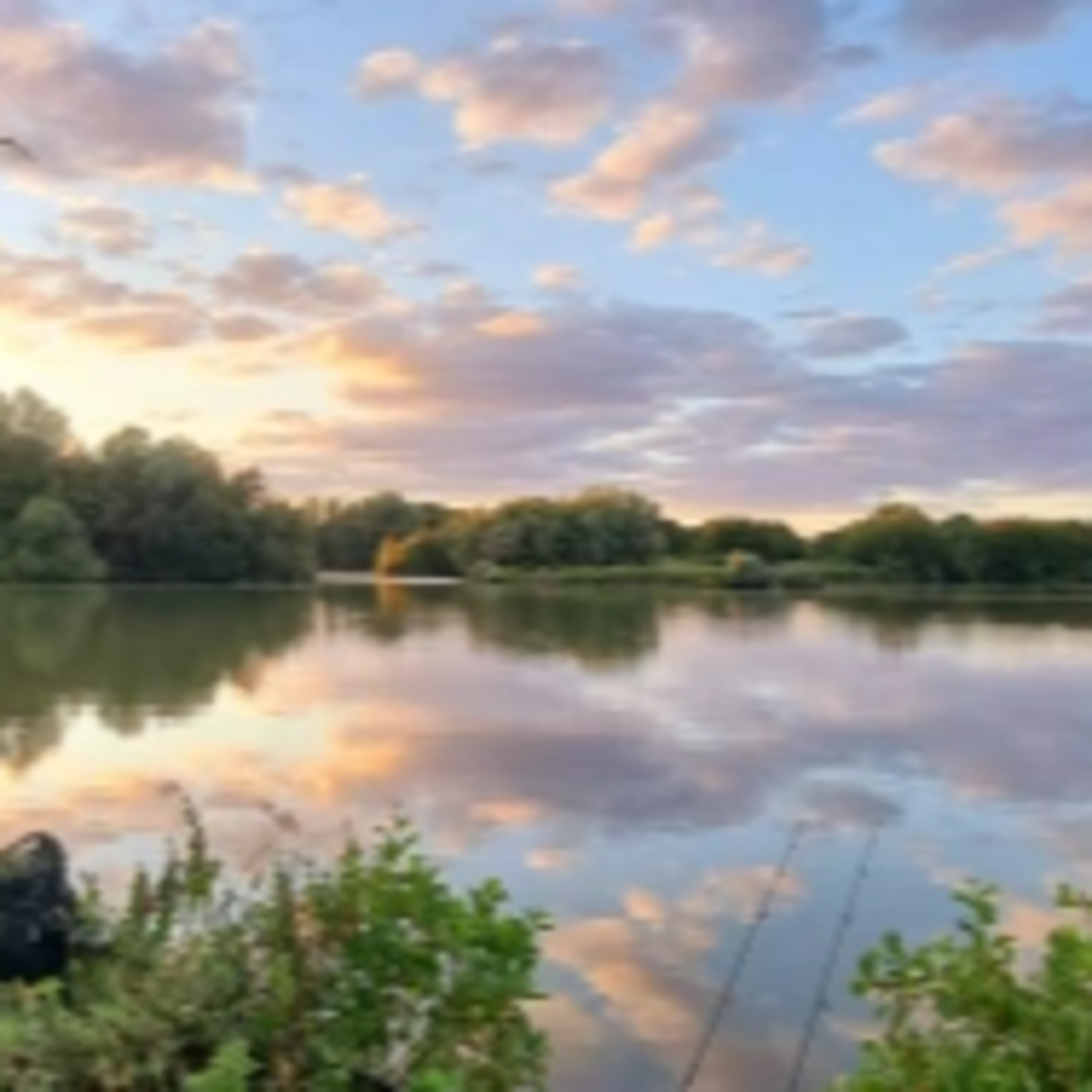 Trip 36 Carp Fishing – 2022 episode artwork