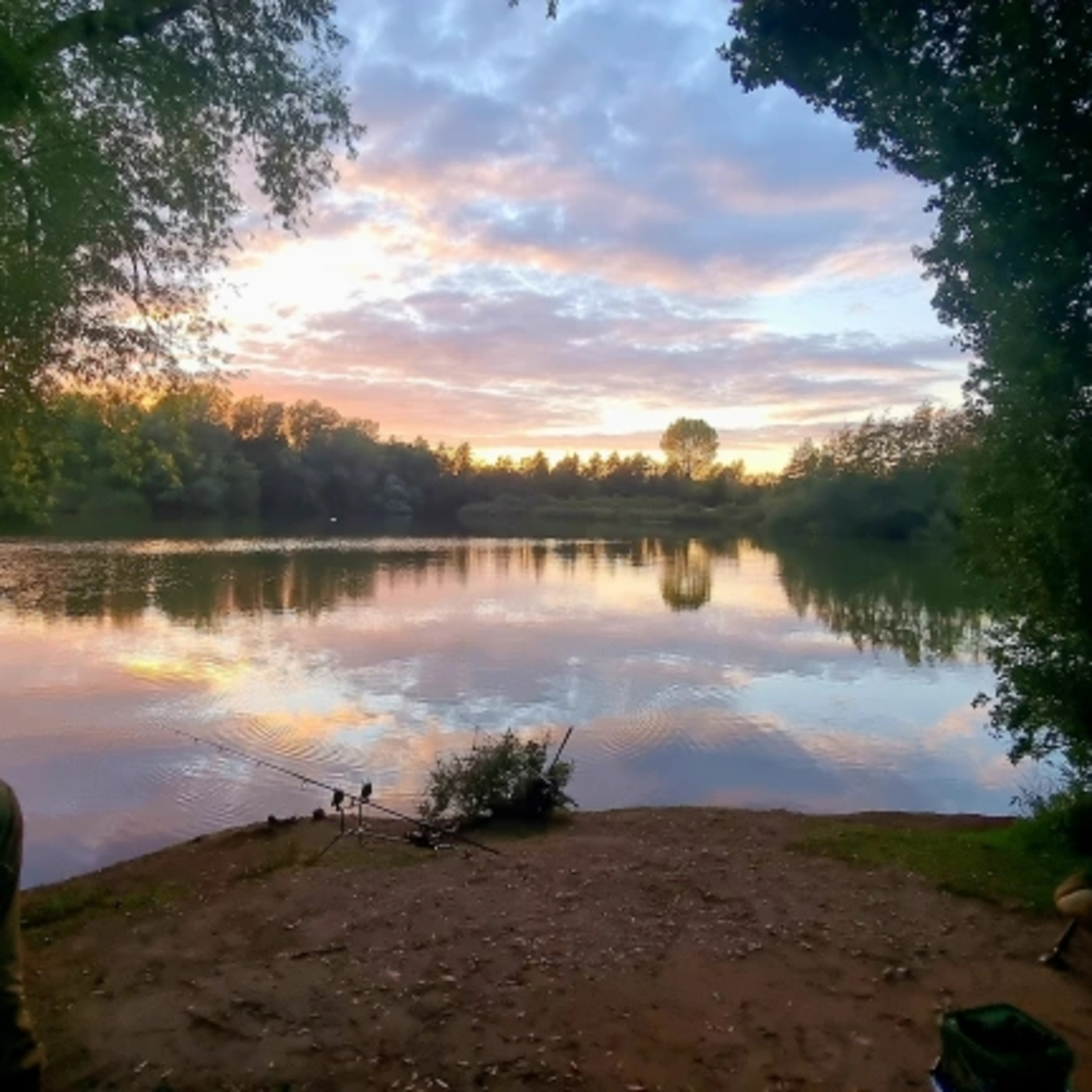 Trip 43 Carp Fishing – 2022 episode artwork