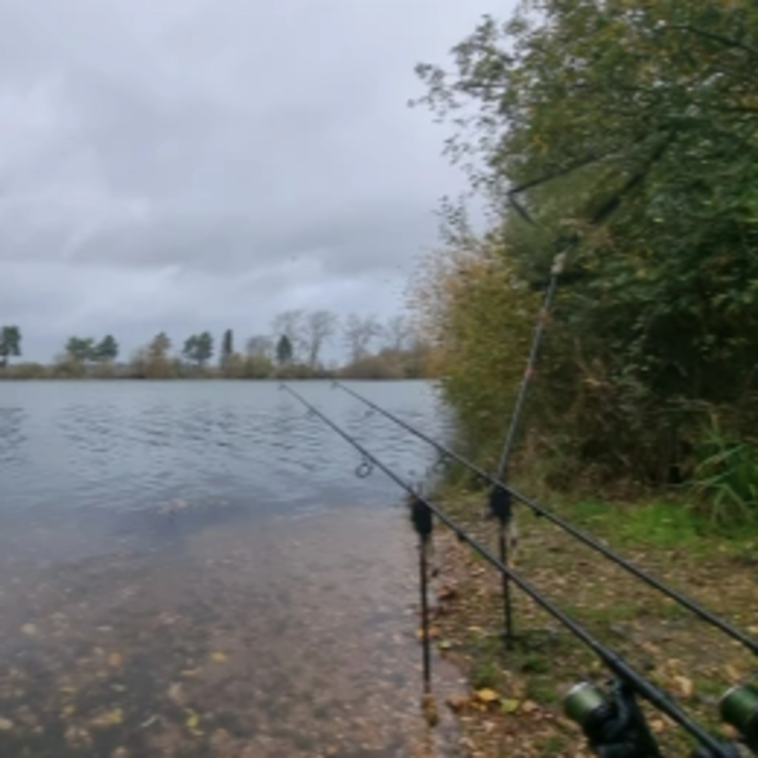 Trip 50 Carp Fishing – 2022 episode artwork