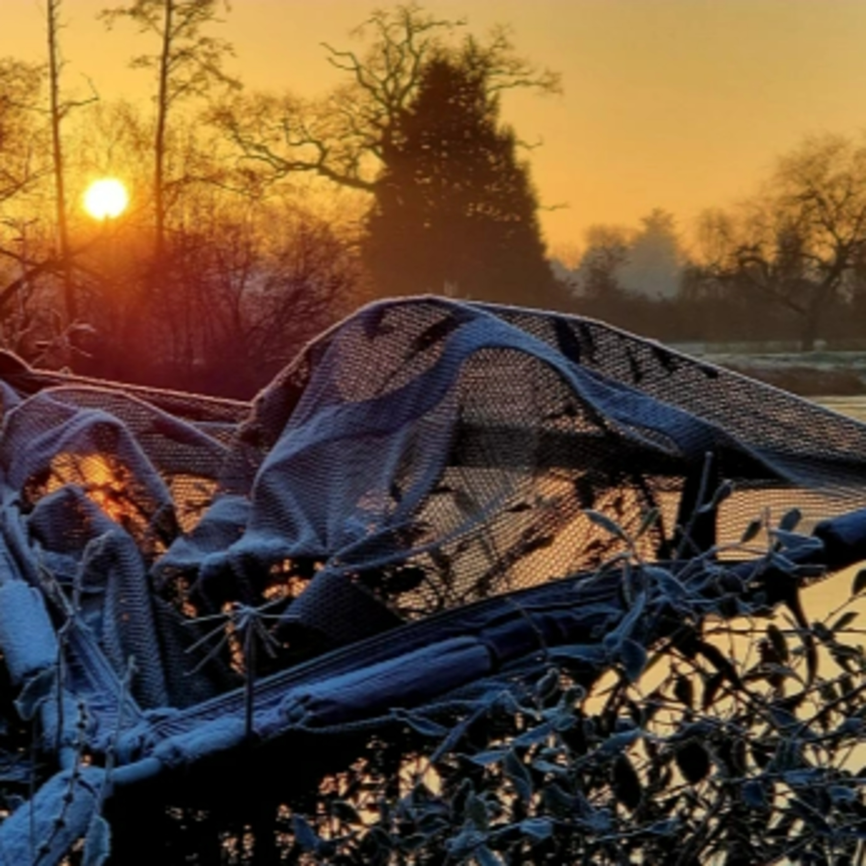 Trip 51 Carp Fishing – 2022 episode artwork