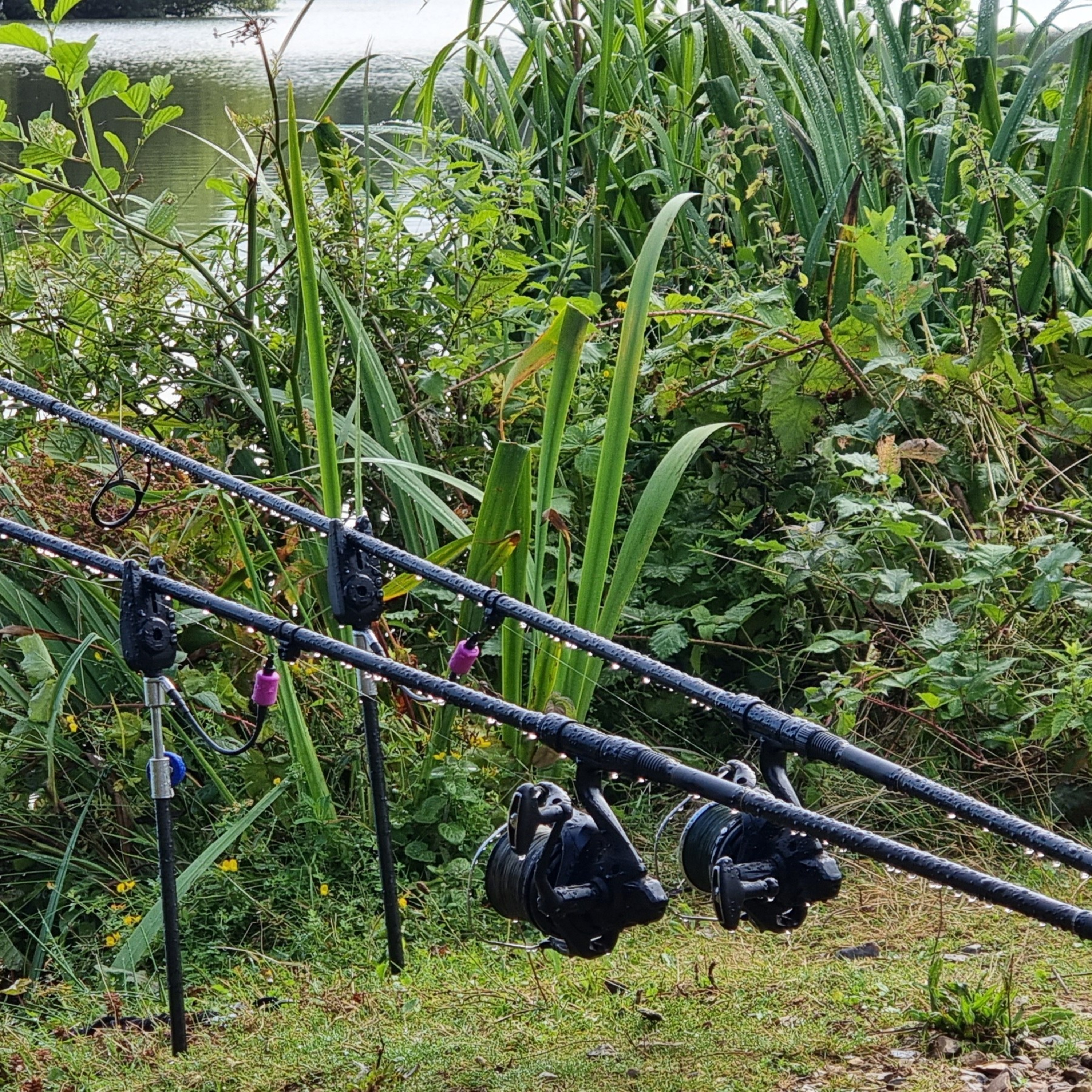 Live from the bank part 2 - trip 25 carp fishing. B episode artwork
