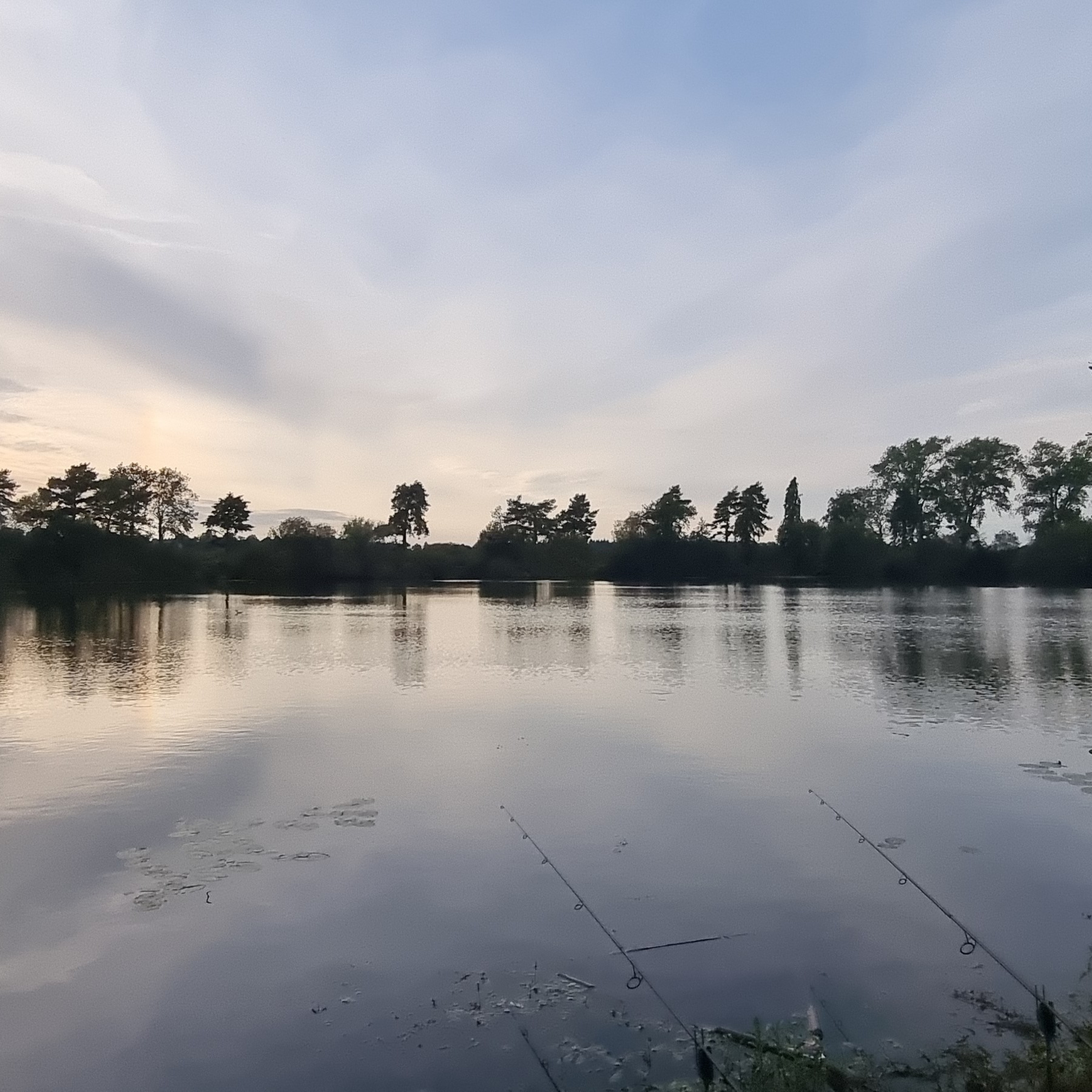 Live from the bank Trip 29 Carp Fishing Part 2 episode artwork
