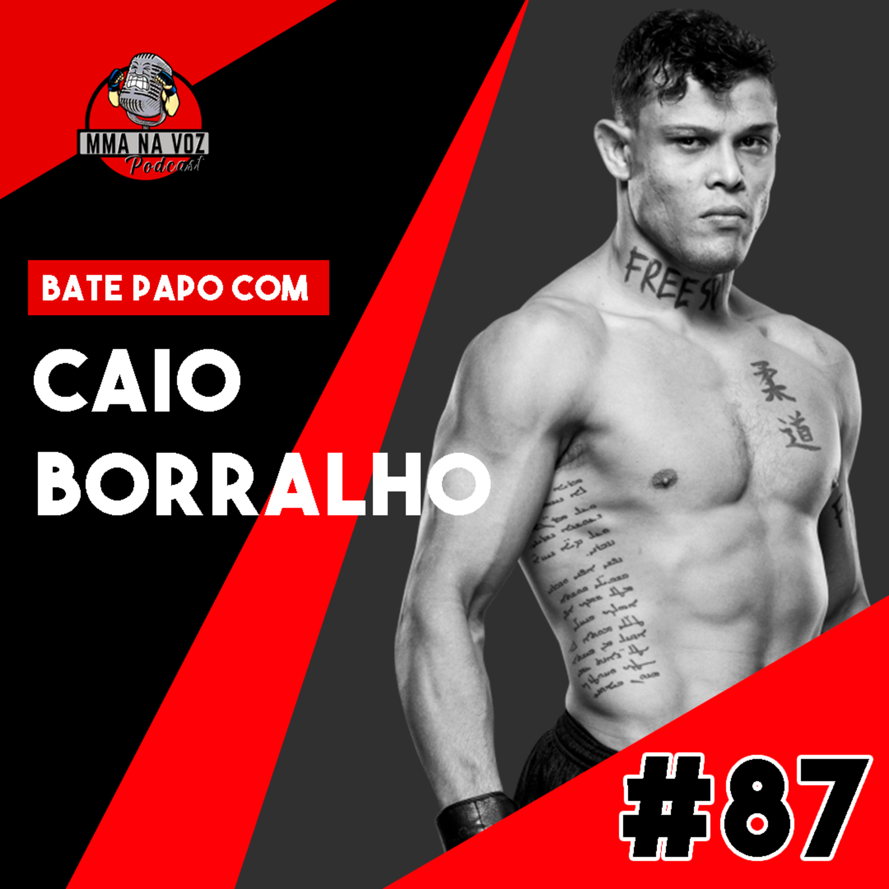 MMA NA VOZ