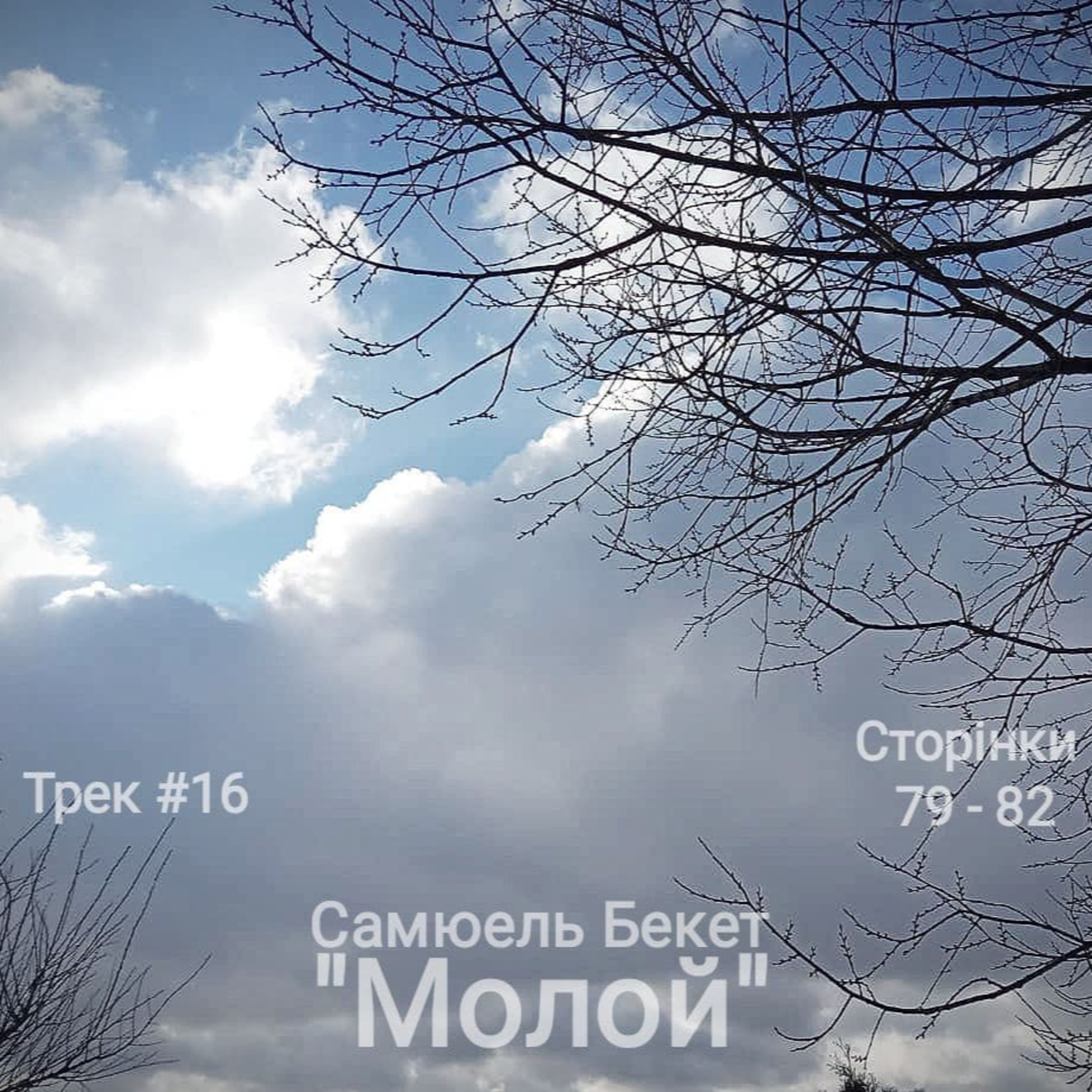 Шістнадцятий фраґмент Бекетового роману "Молой", ч. I episode artwork