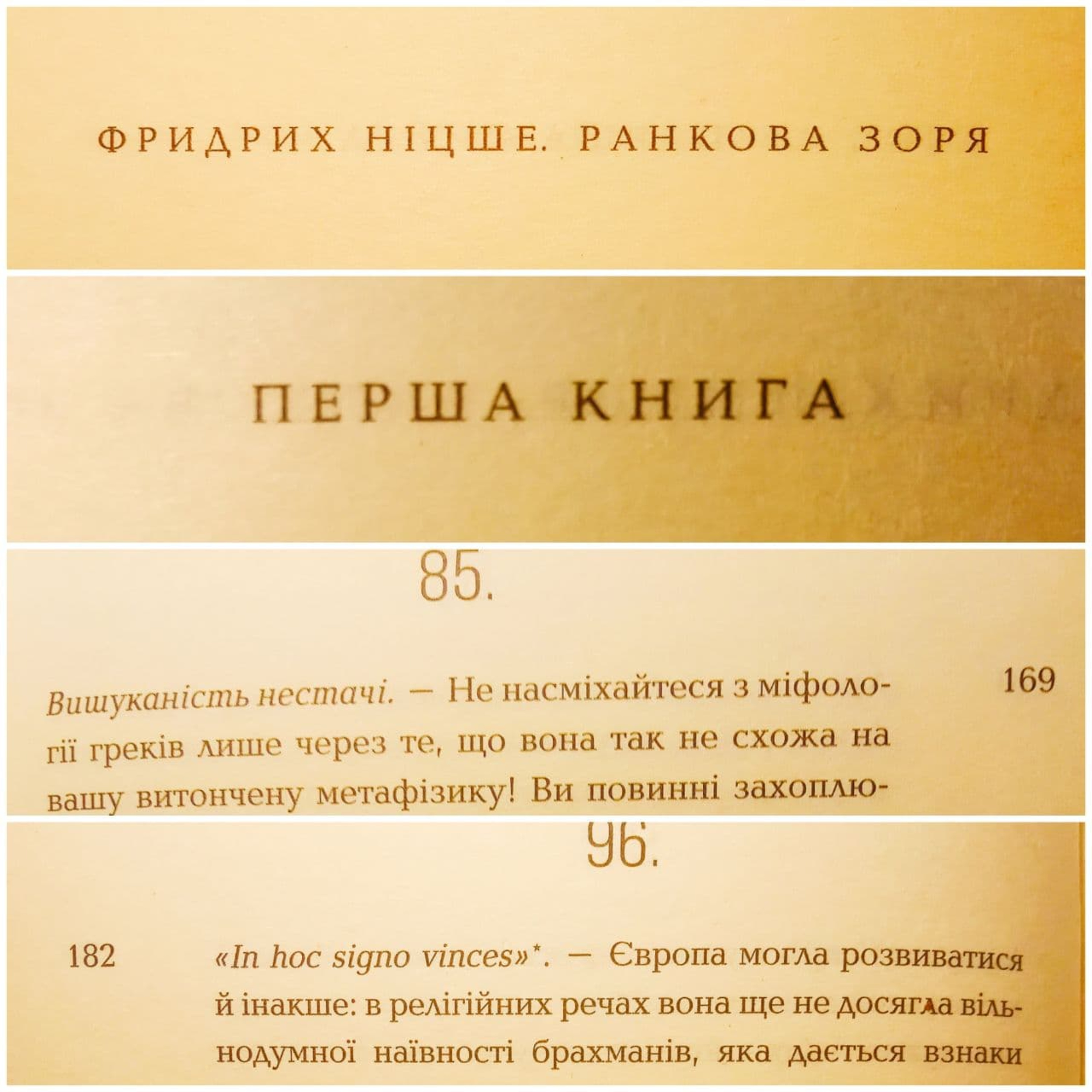 Фридрих Ніцше "Ранкова зоря" Перша книга, №85-96, стор. 169-183 episode artwork