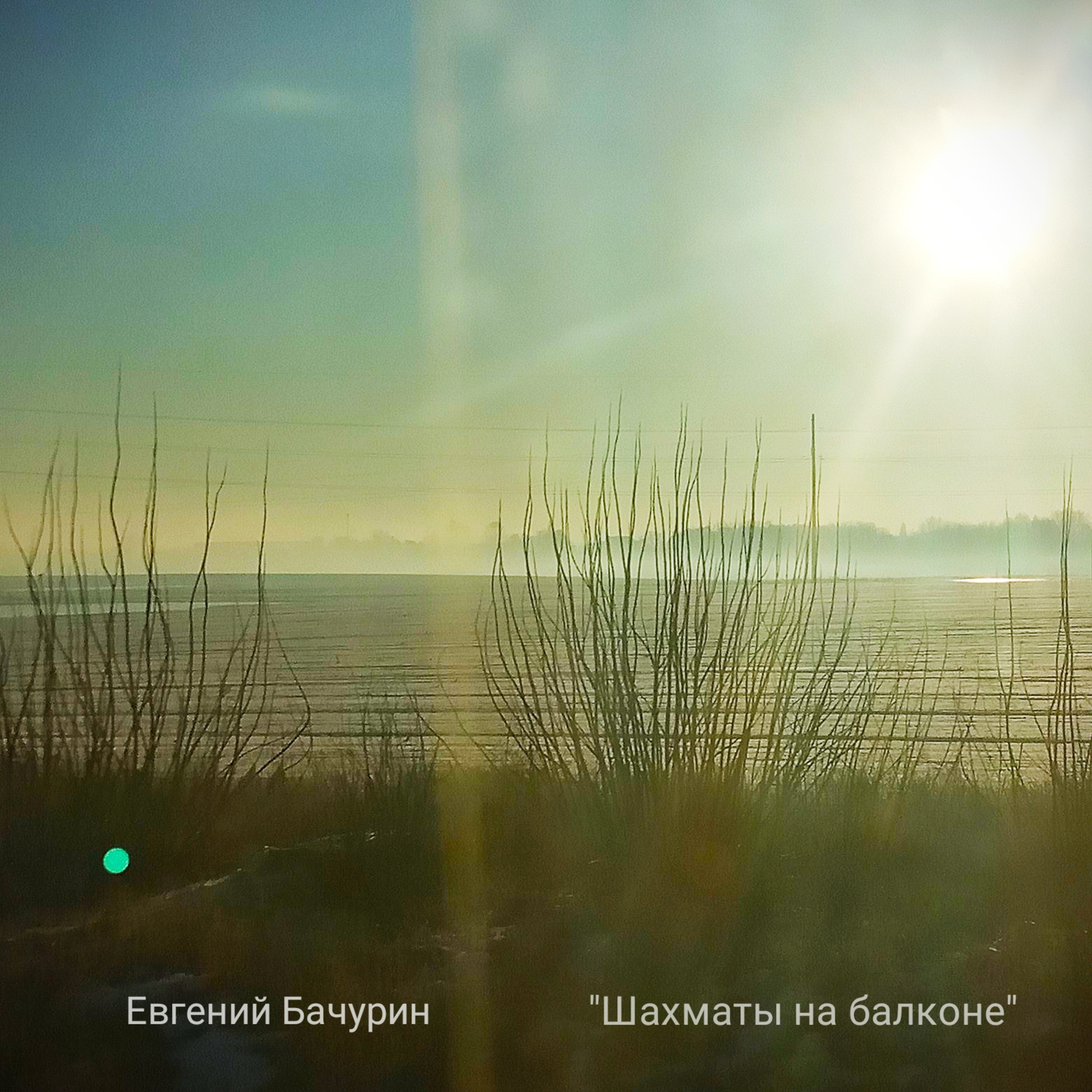 Евгений Бачурин "Шахматы на балконе" episode artwork