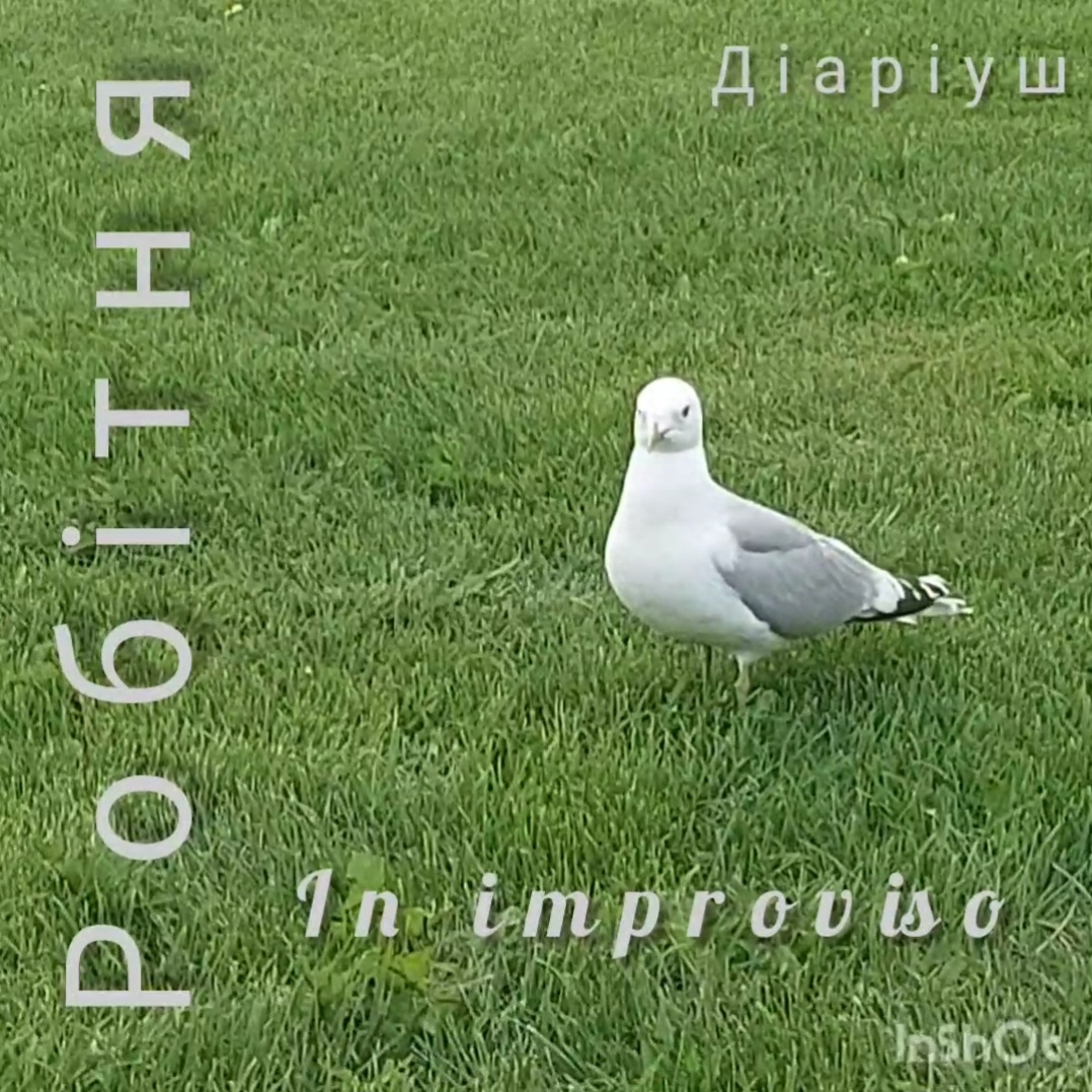 #878-20.07.24-"Ч.п.з."-In improviso episode artwork