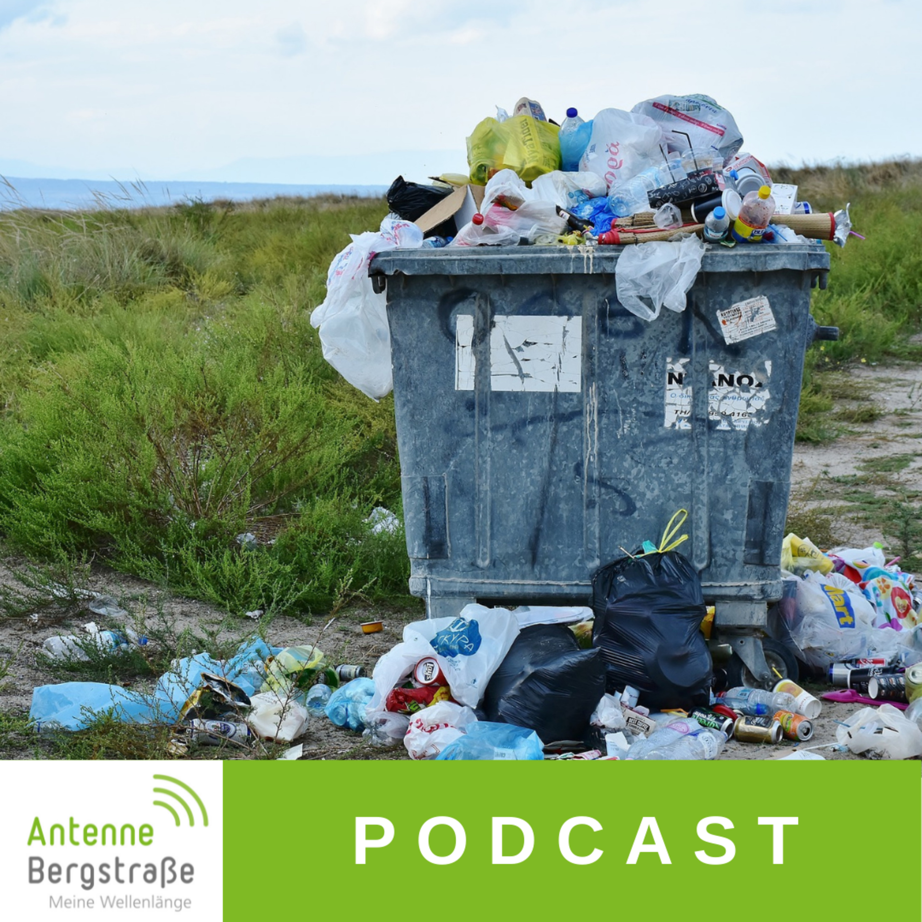 Special zum Weltumwelttag: Wie reduziere ich (Plastik-) Müll? episode artwork