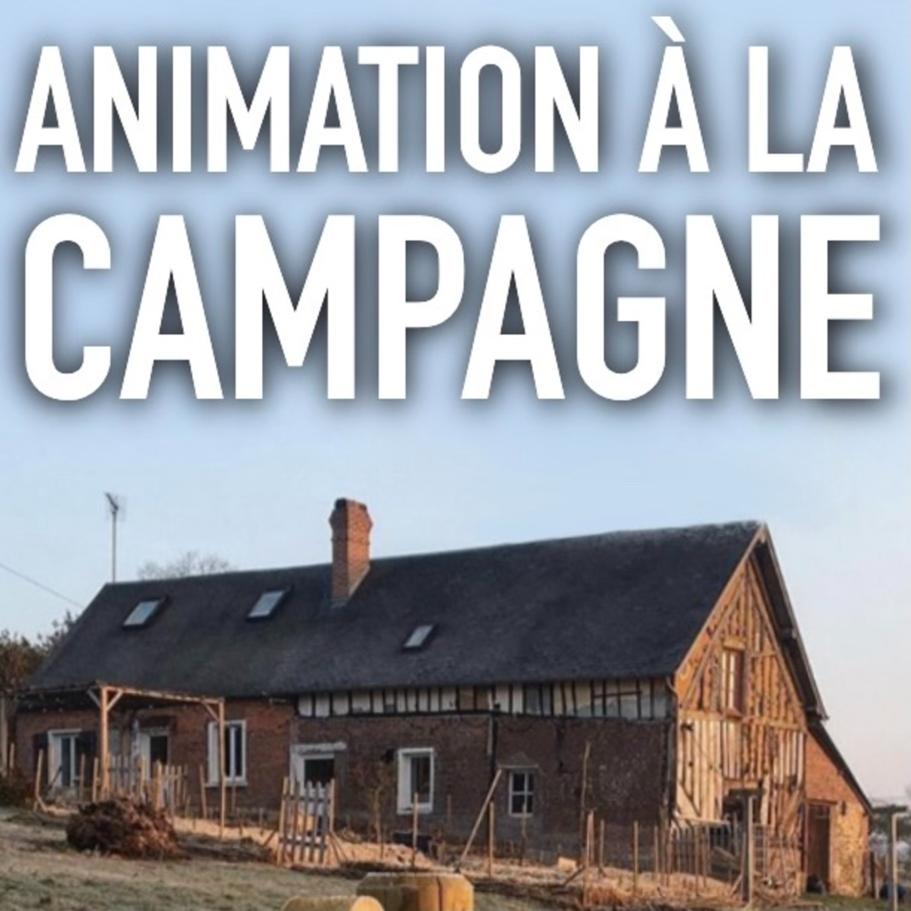 Les métiers de l\'animation et de l\'image | avec Benjamin Cerbai (Podcast)