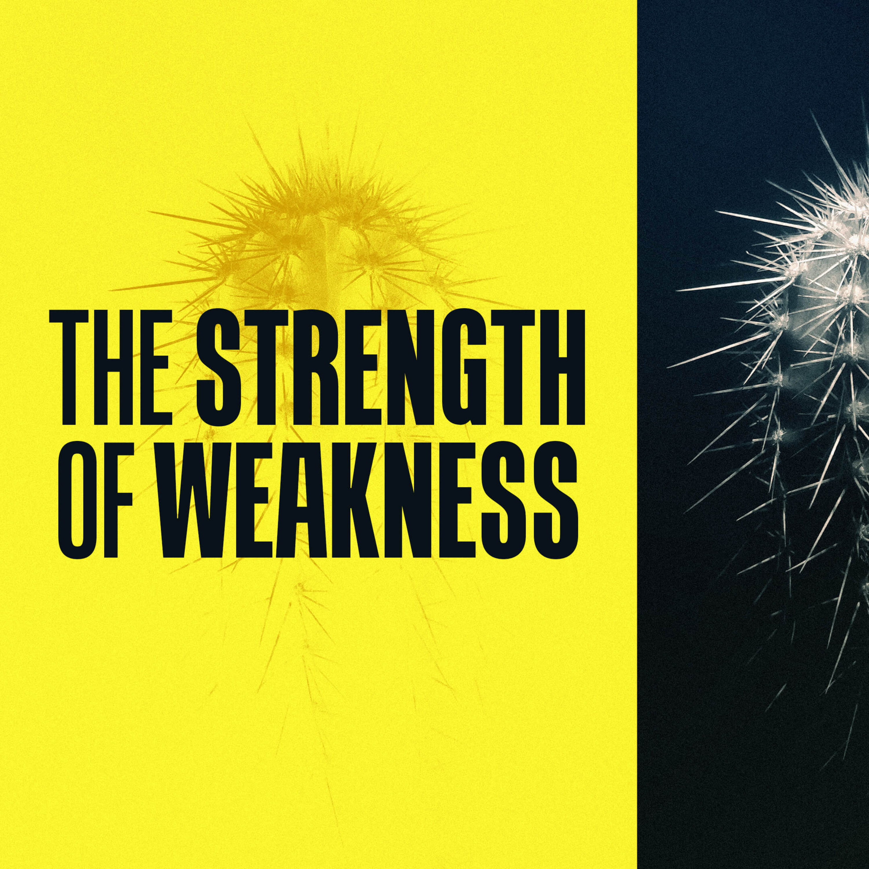 The Strength of Weakness episode artwork