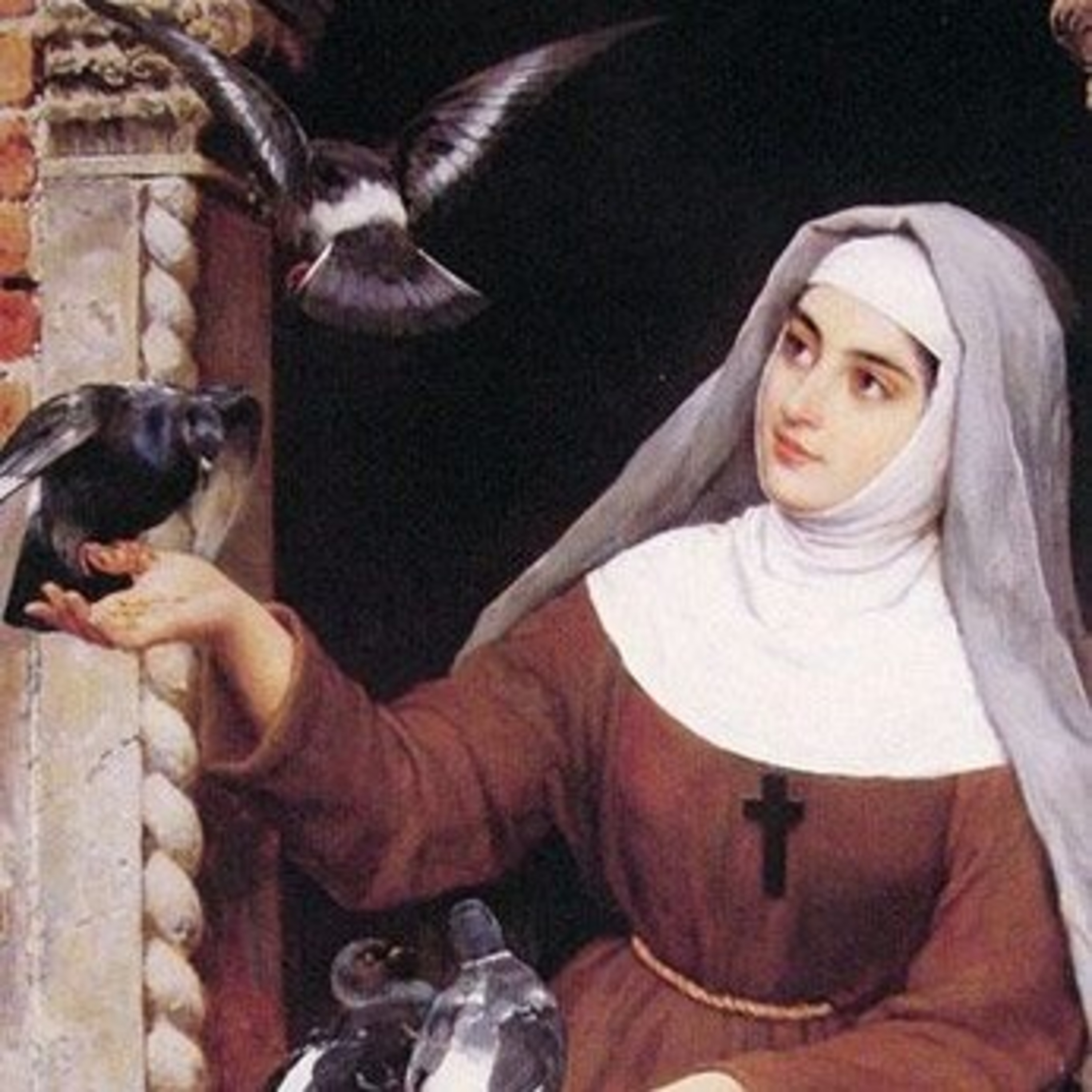 A Vida de Clara de Assis. episode artwork