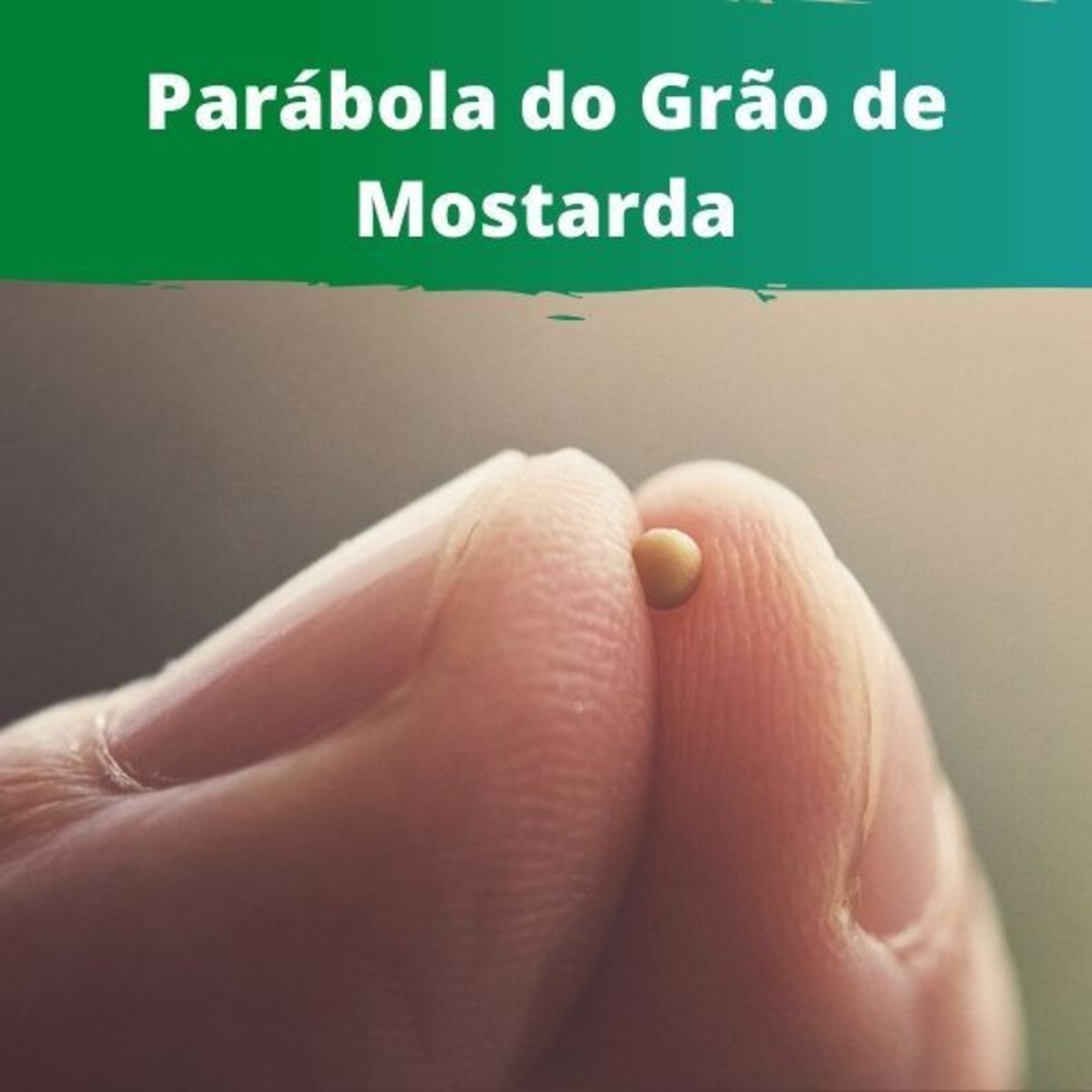 O grão de Mostarda e o Fermento. episode artwork