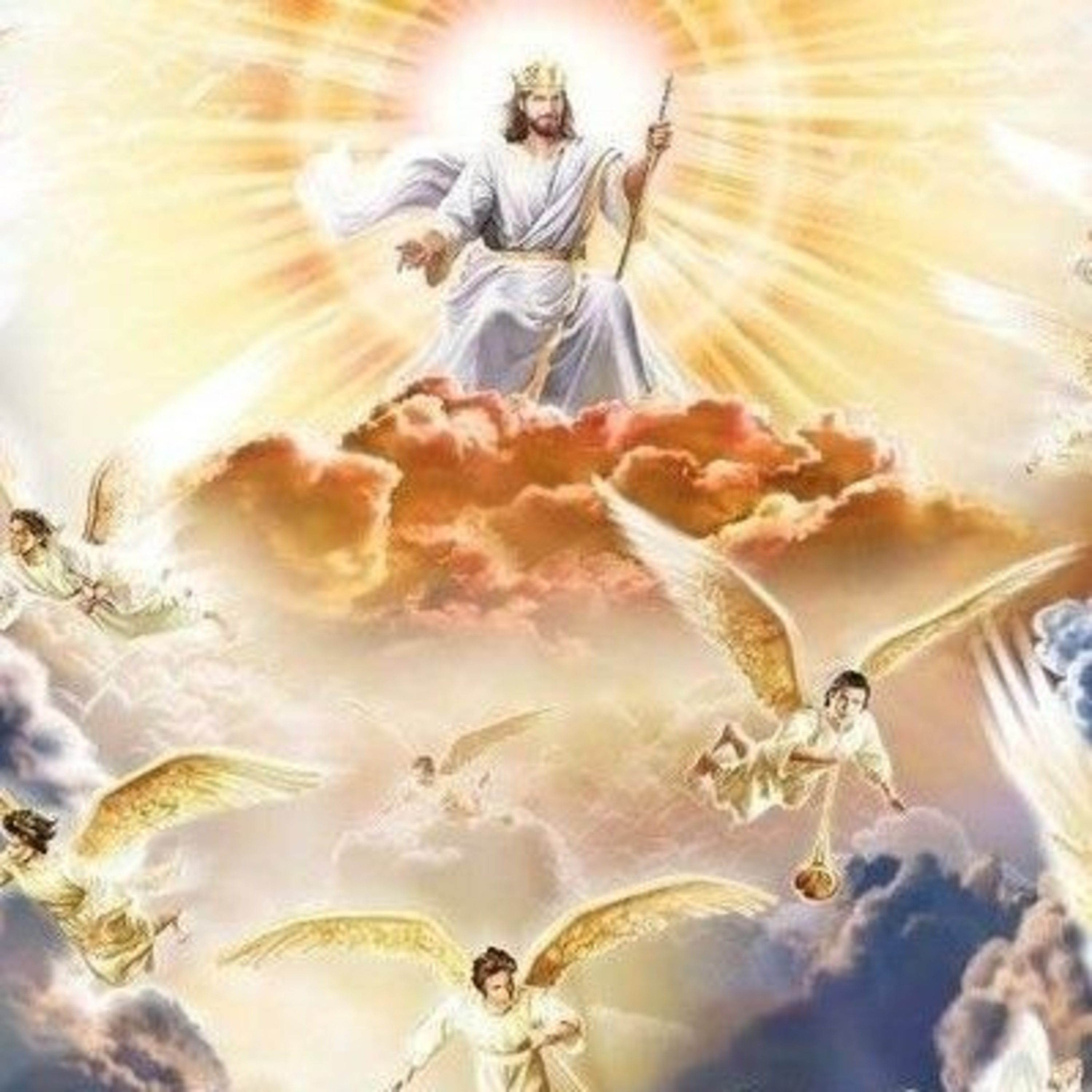 Olhar para cima. episode artwork