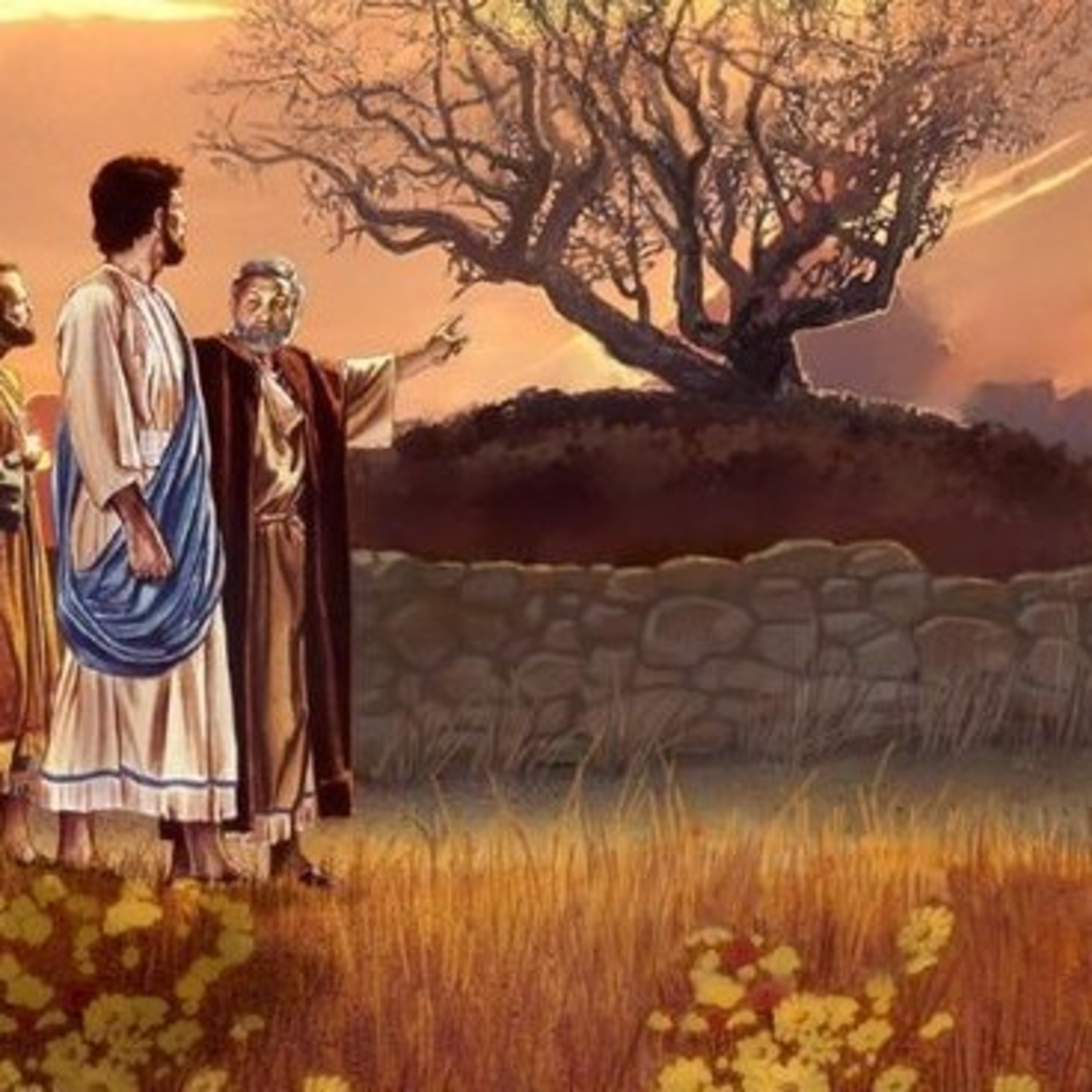As Palavras do Senhor não Passarão.  episode artwork