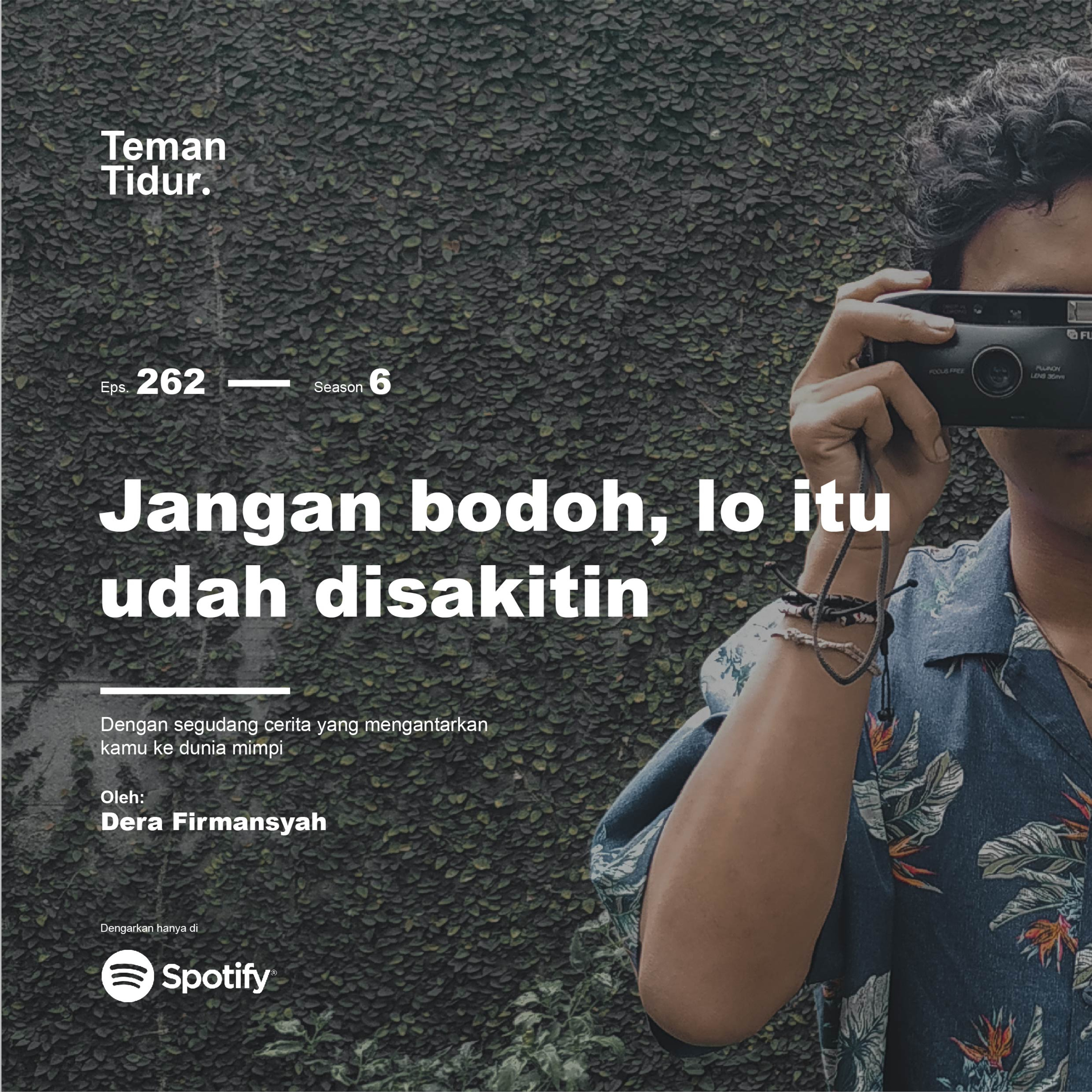 Teman Tidur