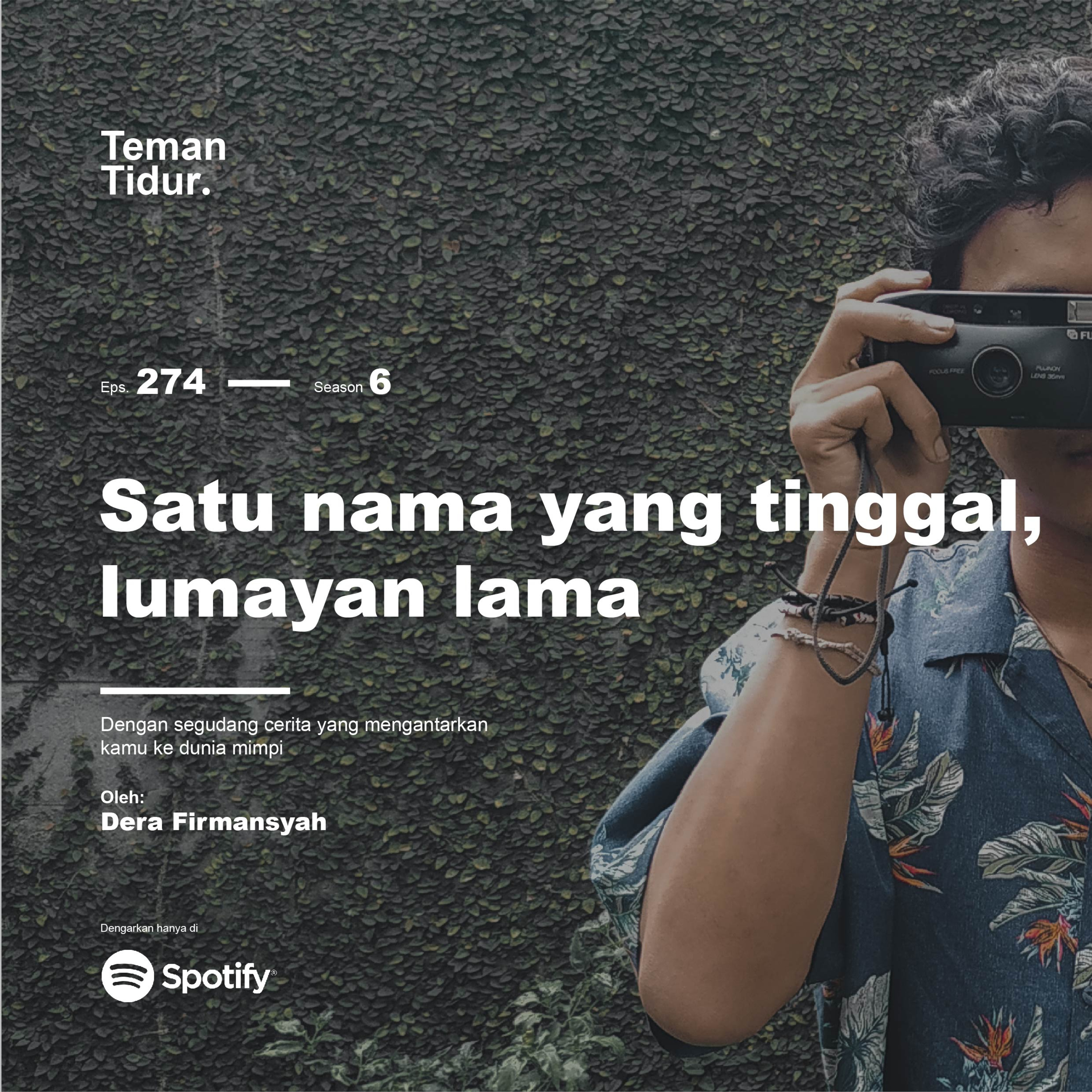 Teman Tidur