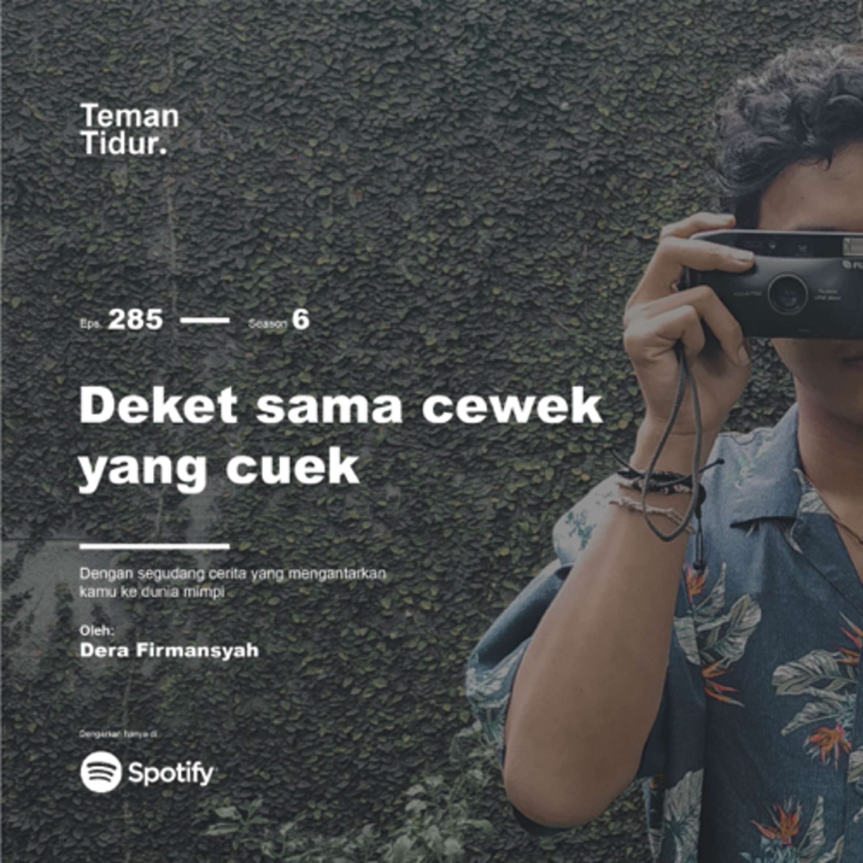 Teman Tidur