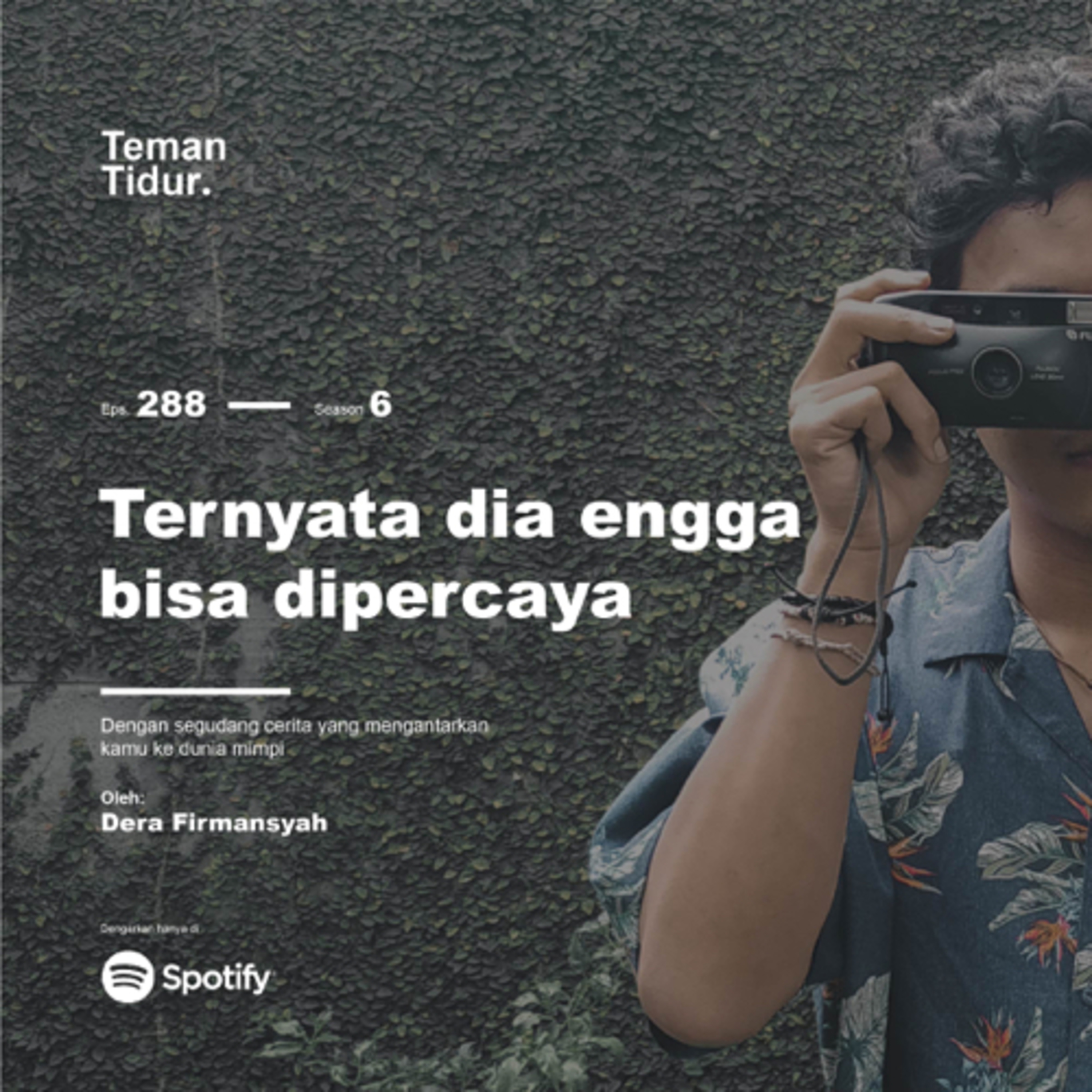Teman Tidur