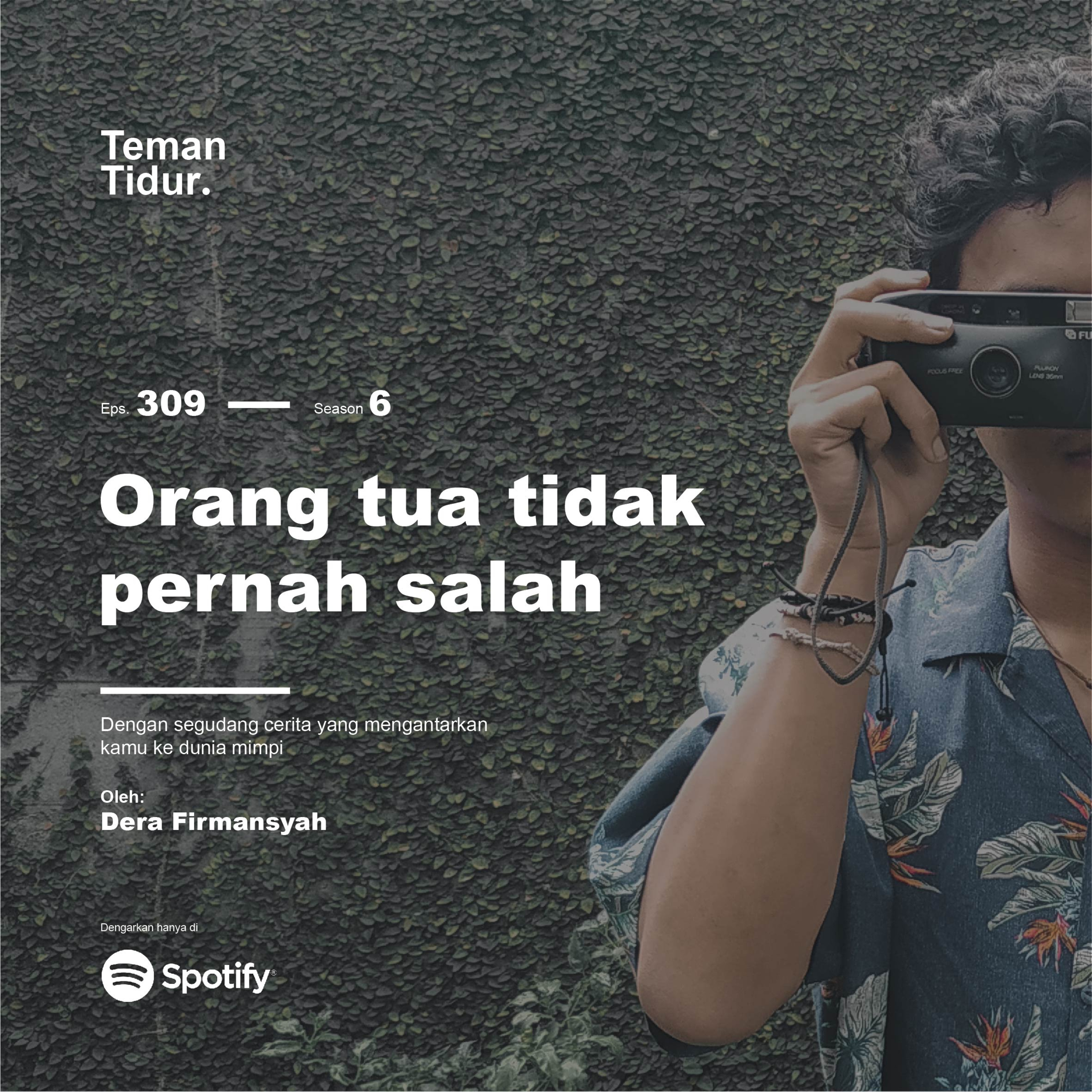 Teman Tidur