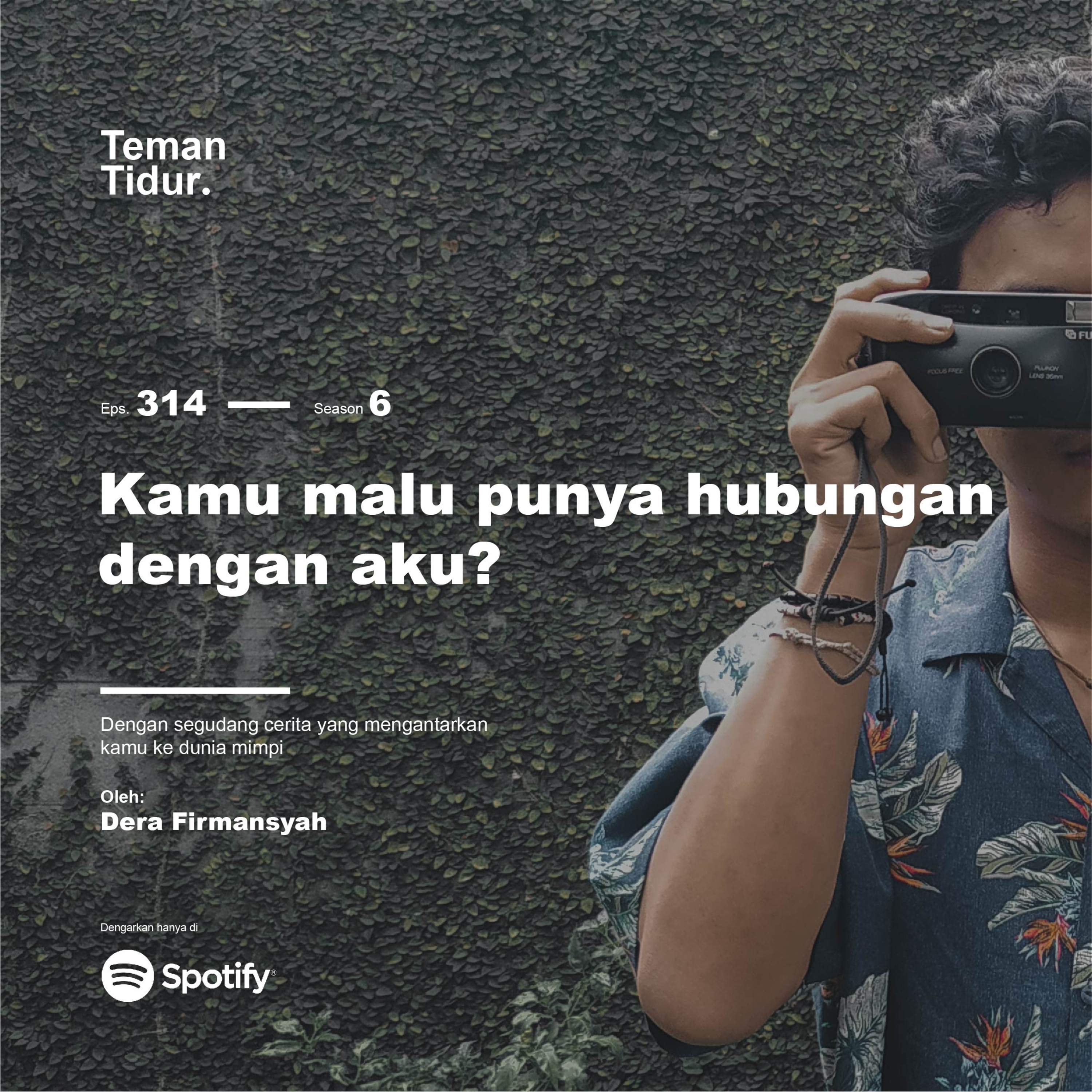 Teman Tidur