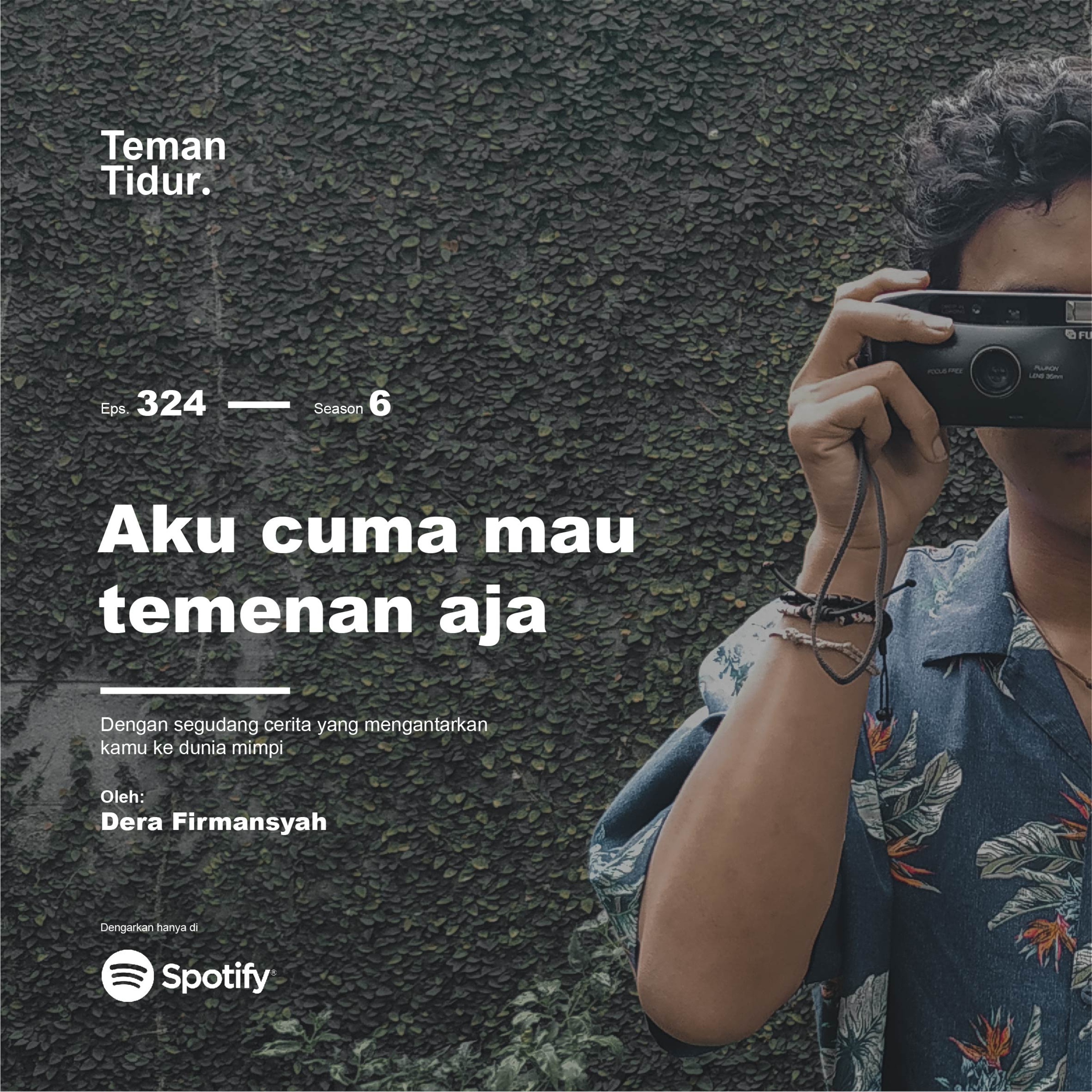 Teman Tidur