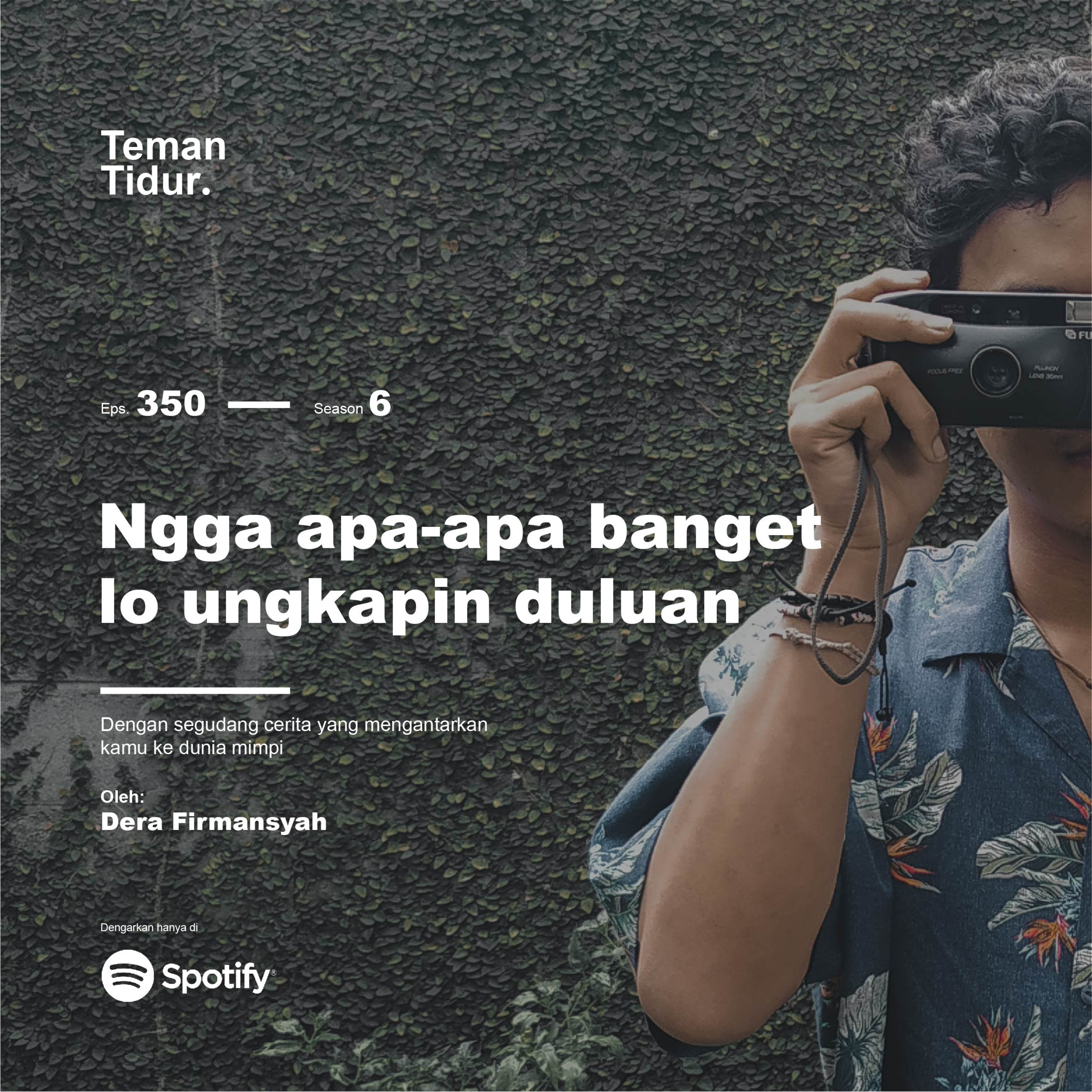 Teman Tidur