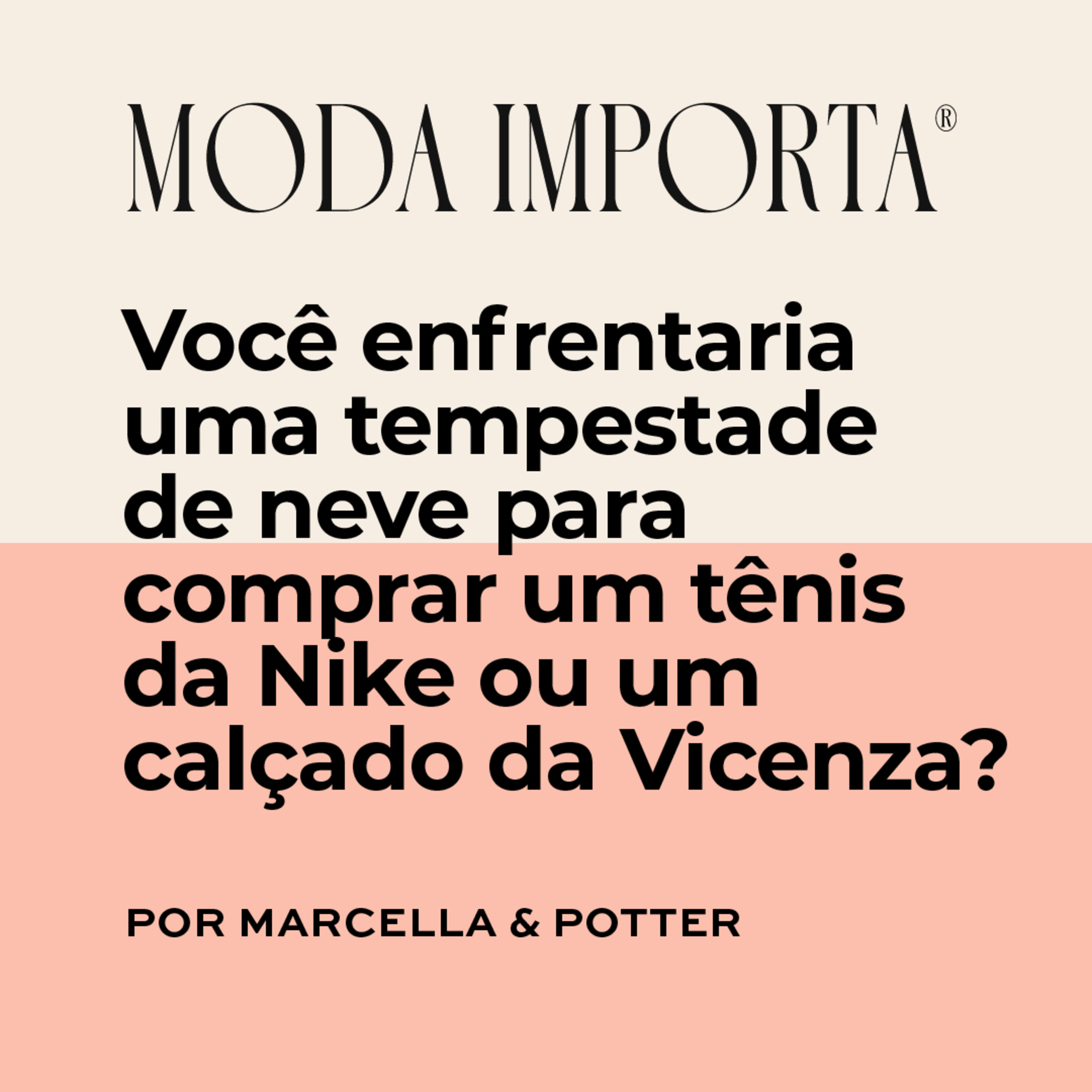 #75 Você enfrentaria uma tempestade de neve para comprar um tênis da tênis da Nike ou um calçado da Vicenza?