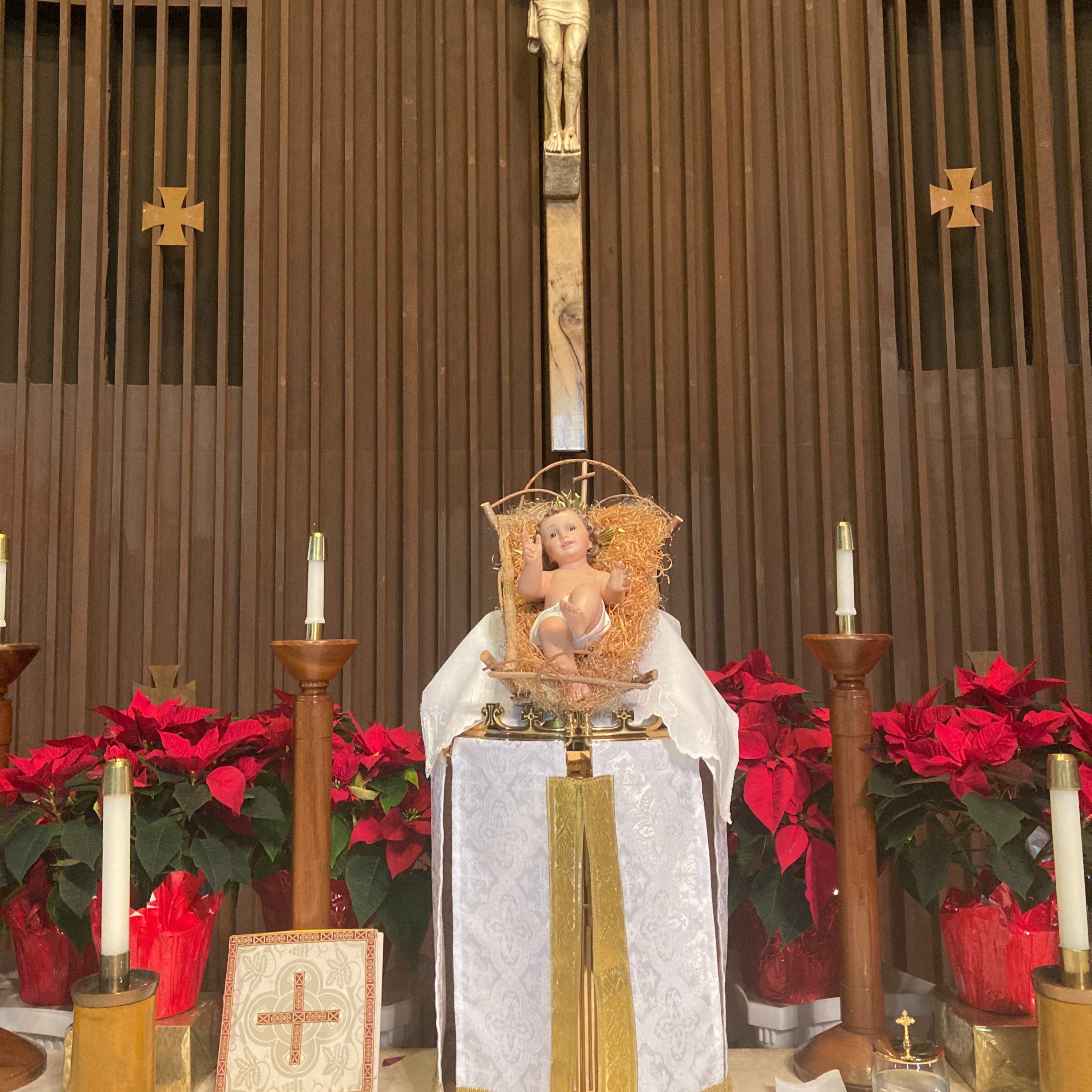 The Manger contains the Bread of Life, Homily for Christmas 2021 episode artwork