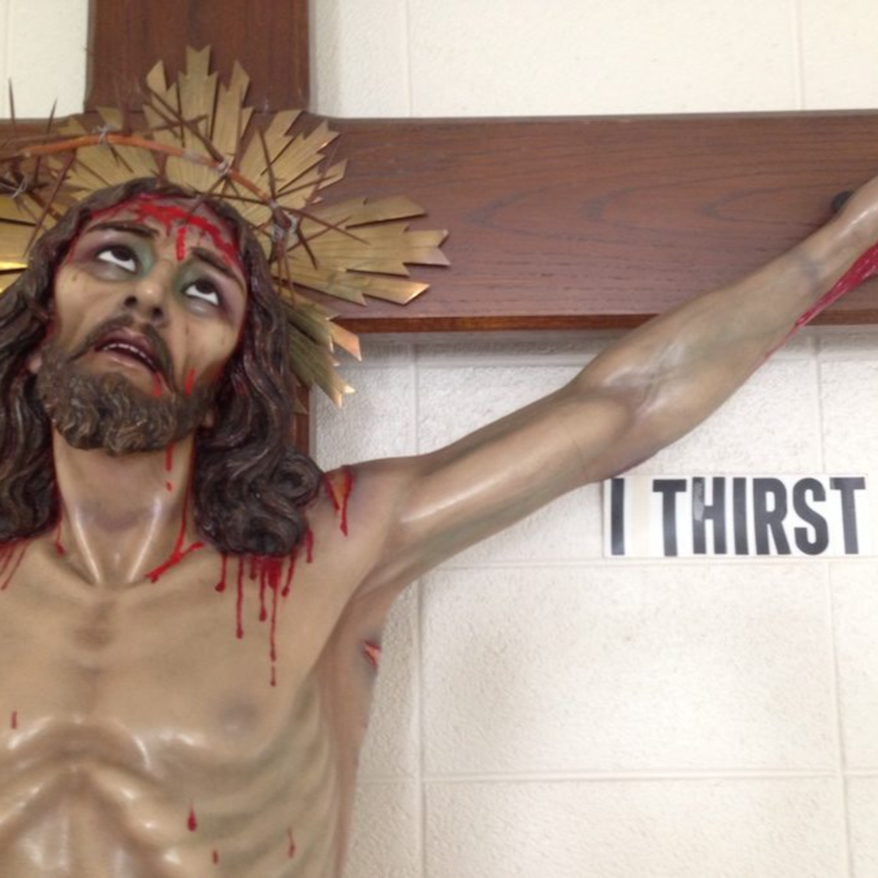 Jesus Christ: The Priest who thirsts, the God who makes gods. Homily for Good Friday, April 15, 2022 episode artwork