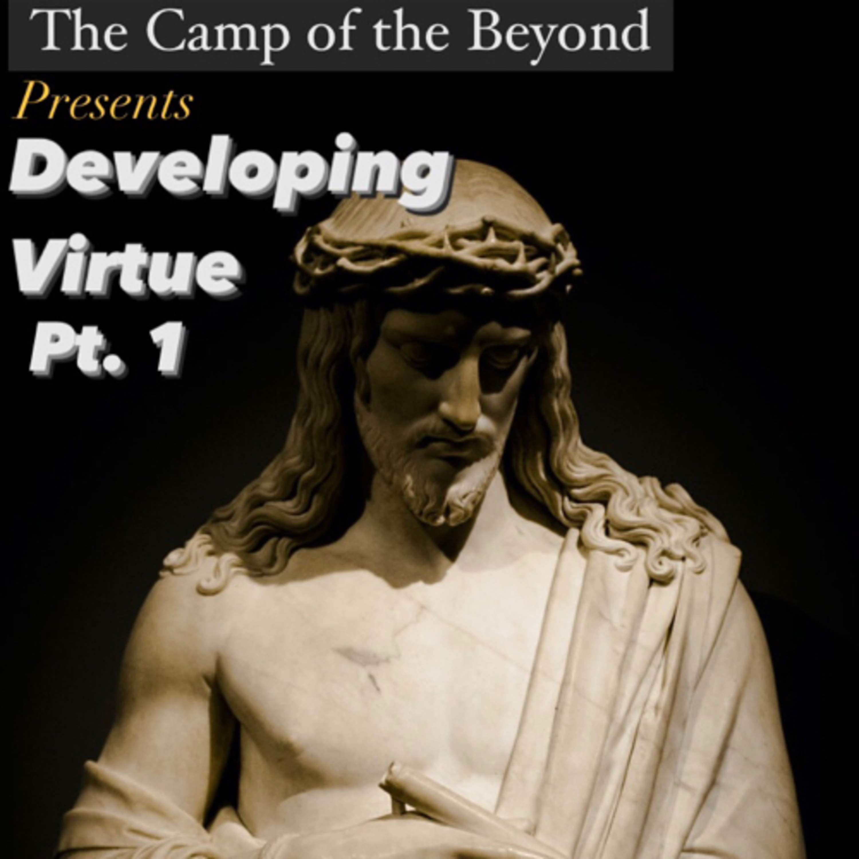 Developing Virtue Pt. 1 episode artwork