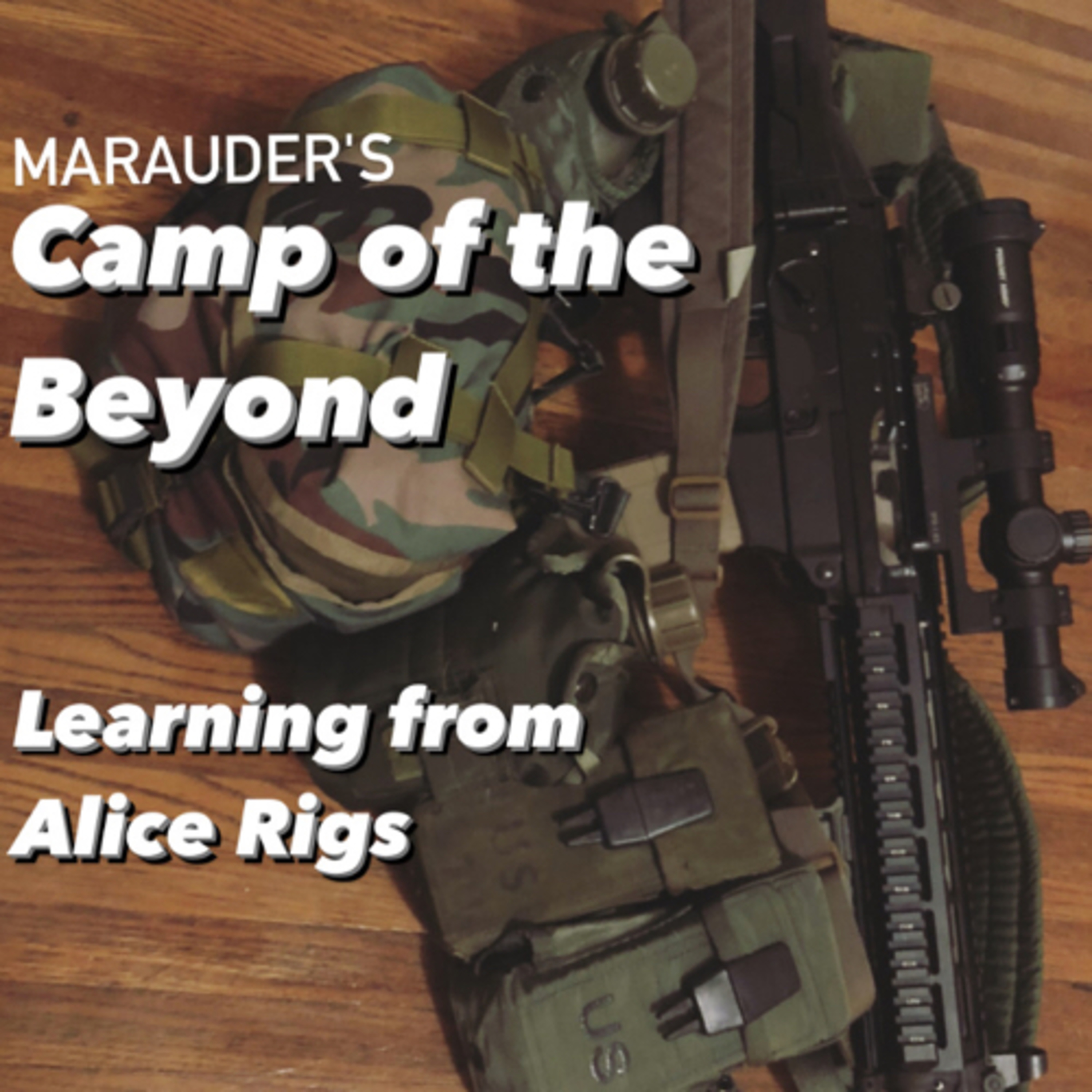 Learning from Alice Rigs episode artwork