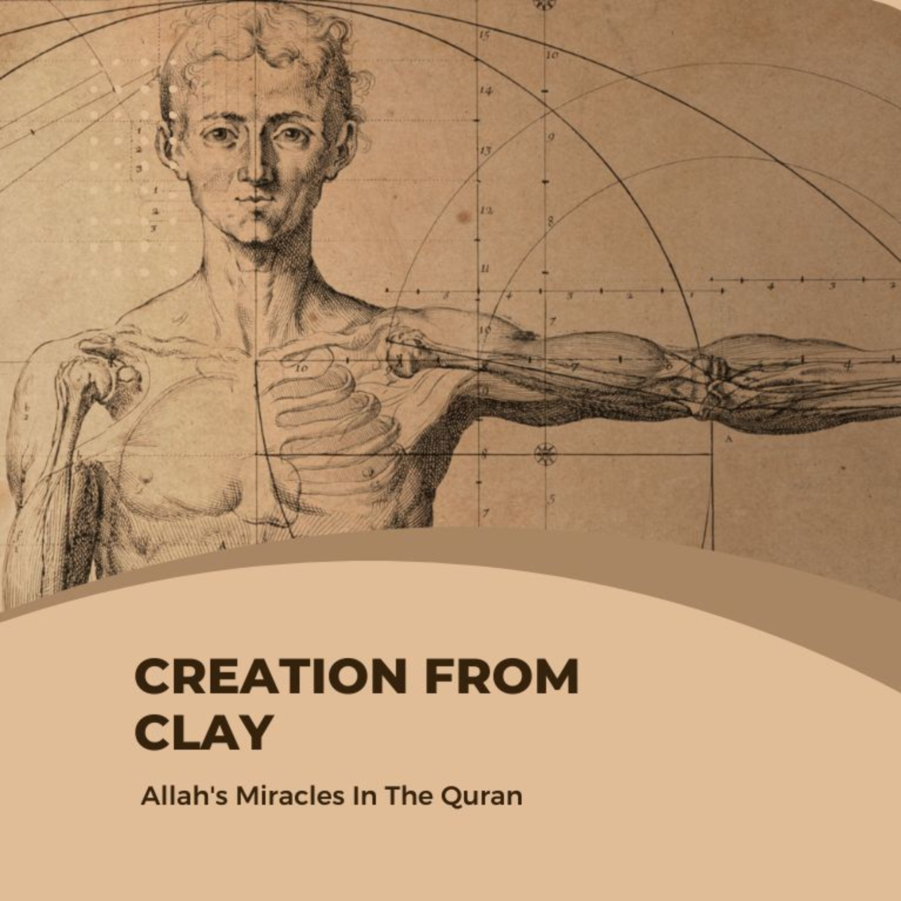 Video 4 - Scientific Miracles in the Quran: Creation from Clay episode artwork