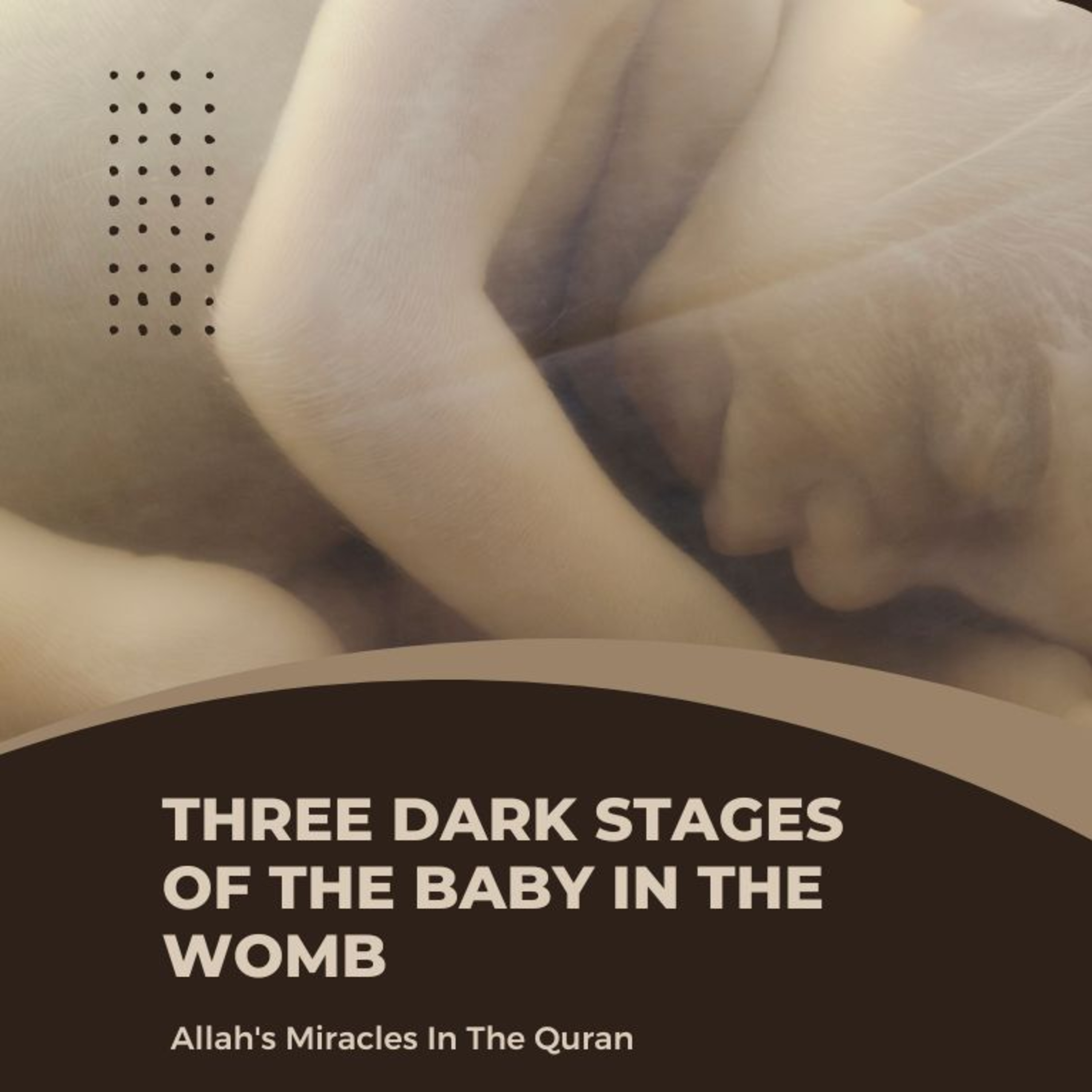 Video 9 - Scientific Miracles in the Quran: Three Dark Stages of the Baby in the Womb episode artwork