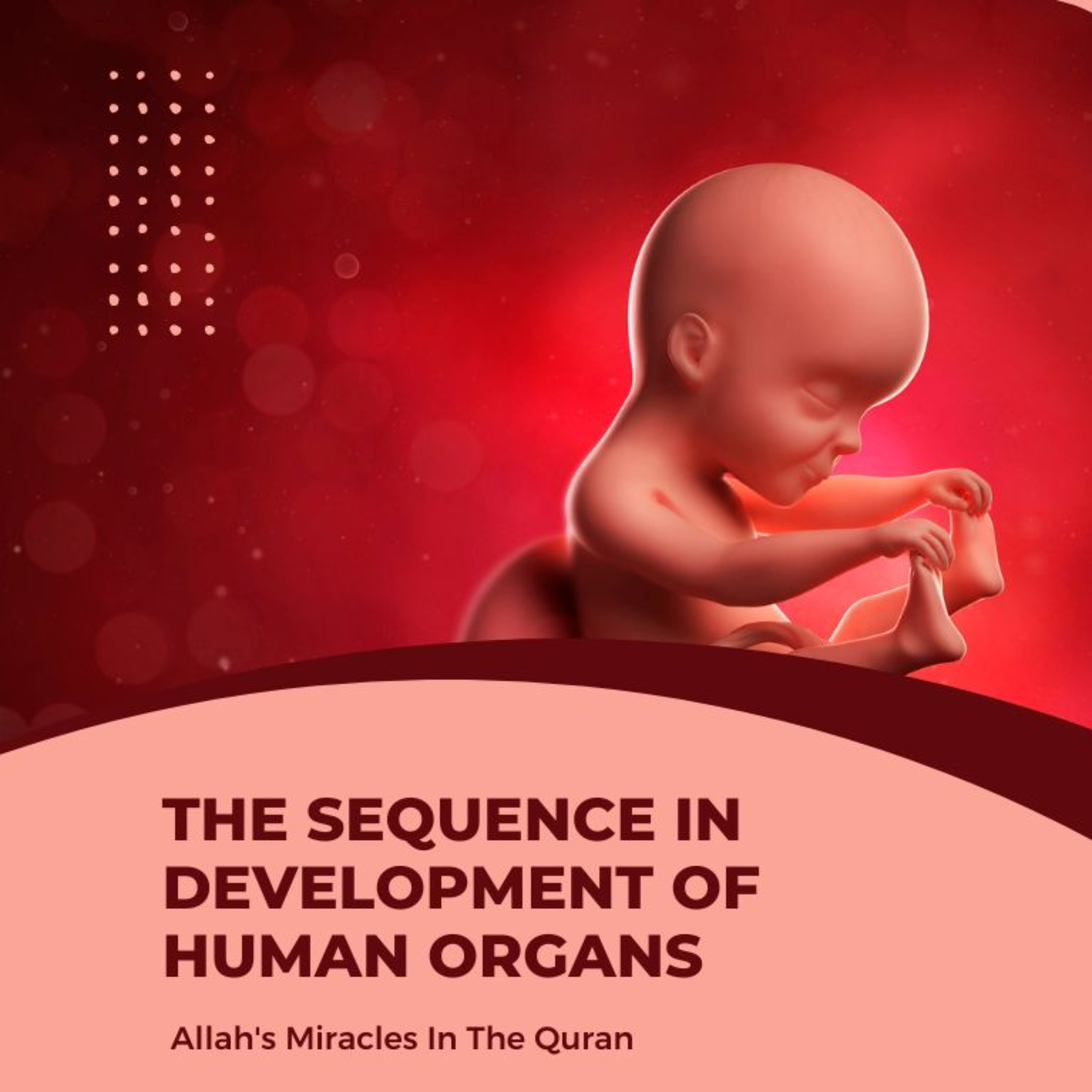 Video 10 - Scientific Miracles in the Quran: The Sequence in Development of Human Organs episode artwork