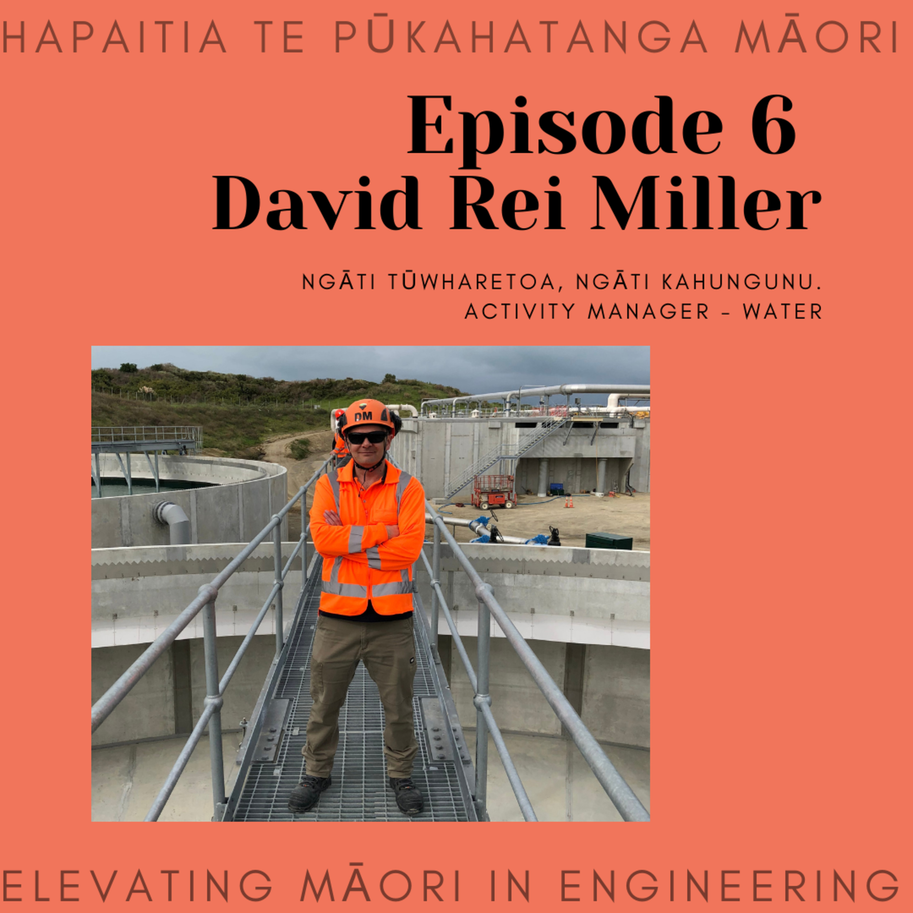 Māori in Engineering