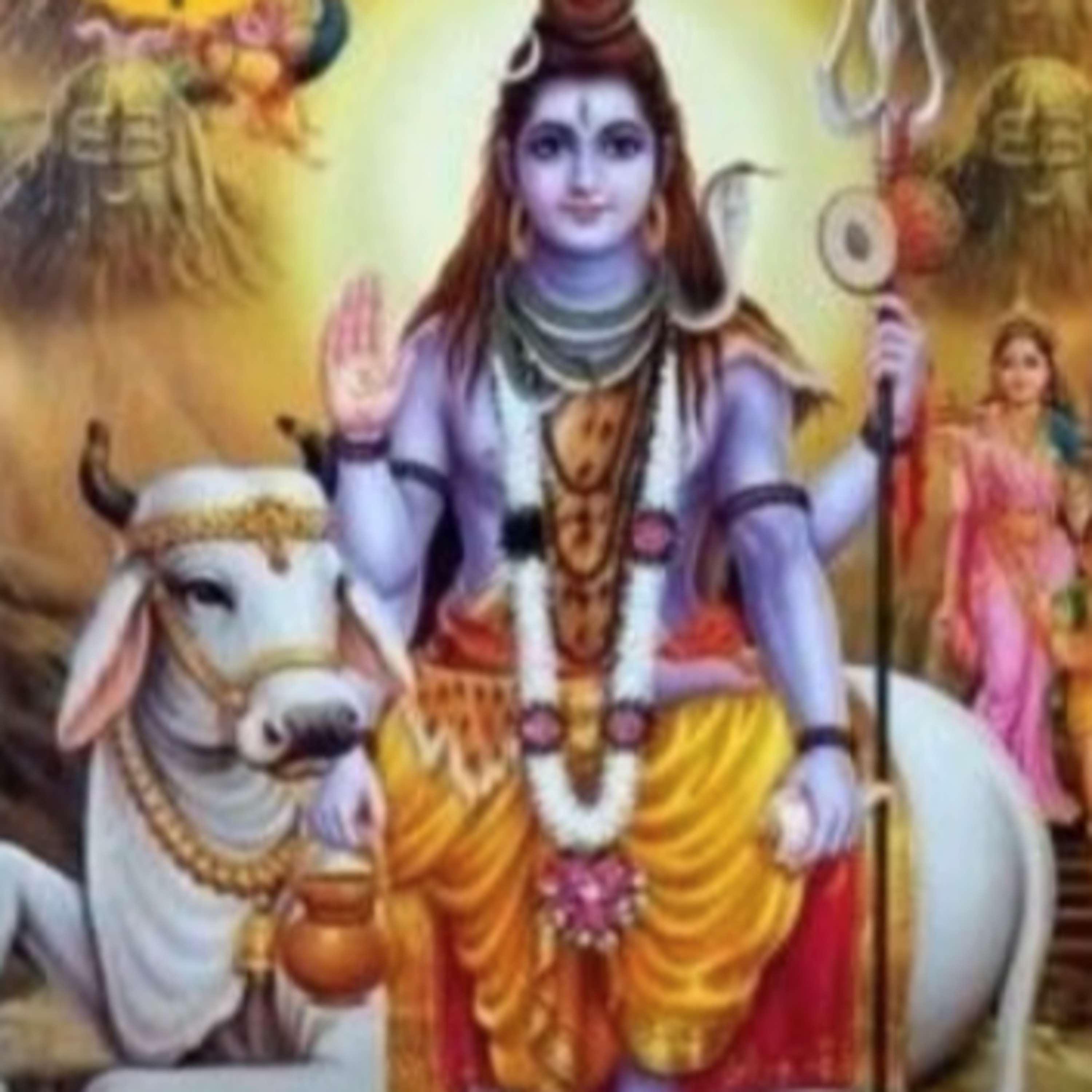 Swamini Pramananda (Ammaji)