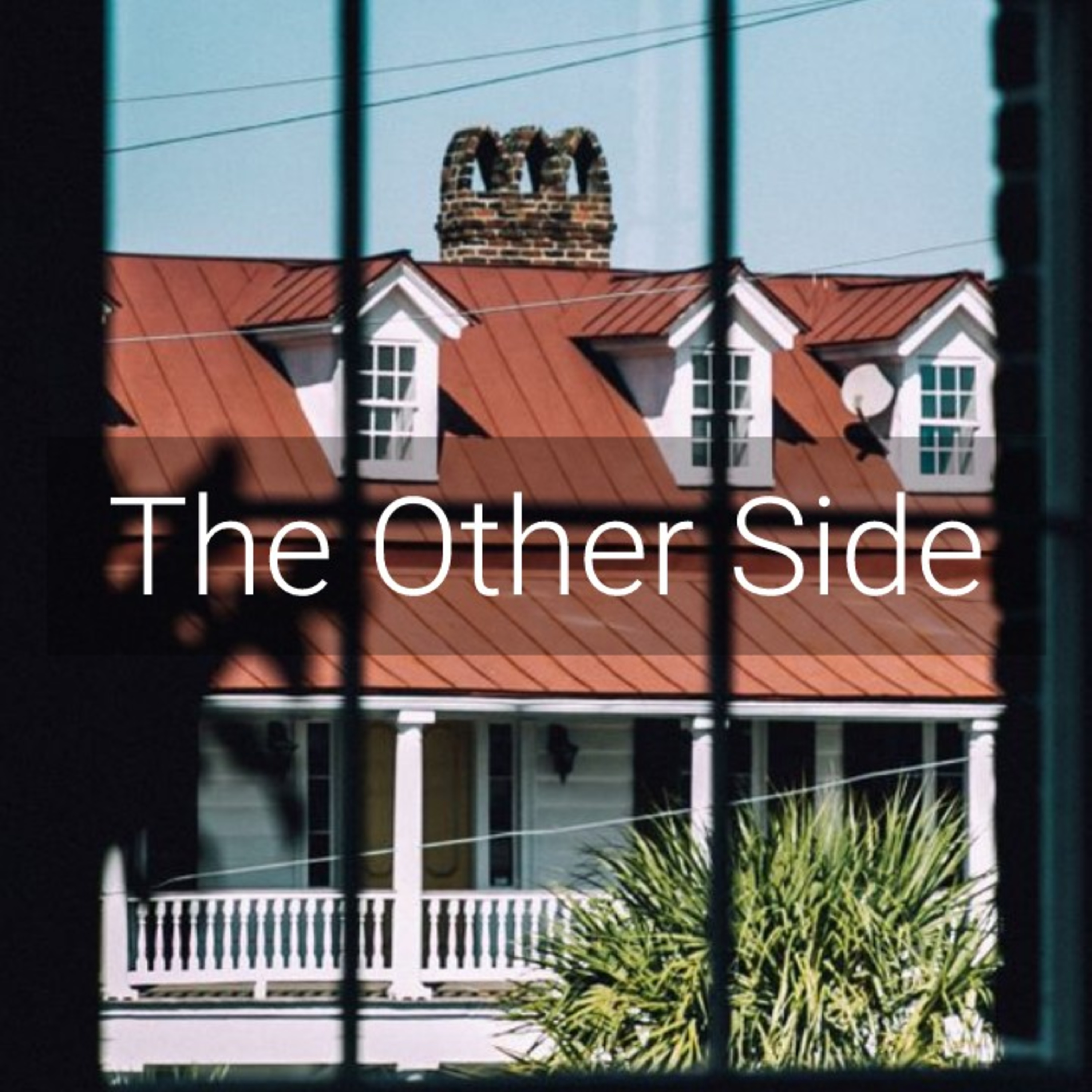 The Other Side episode artwork