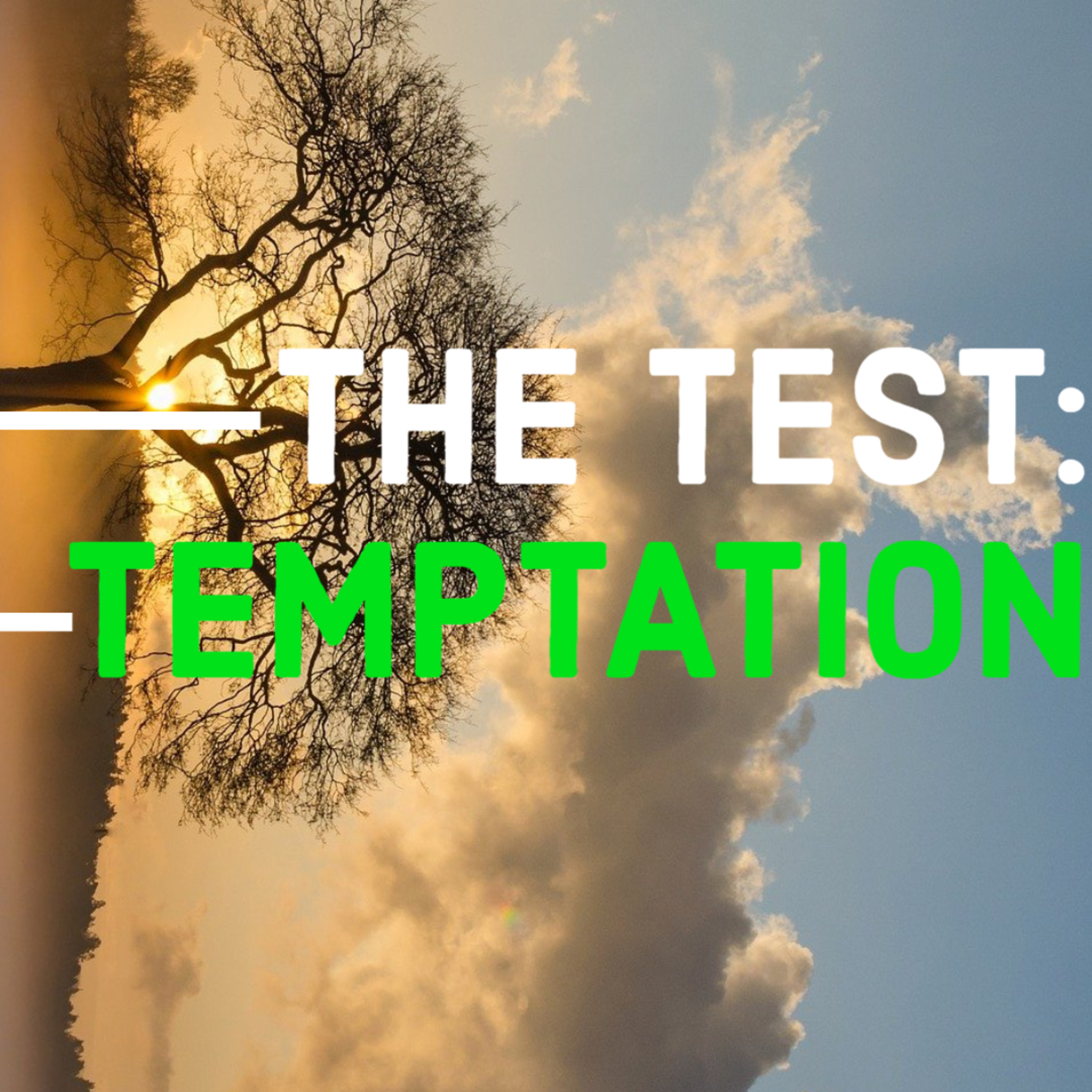 The Test: Temptation episode artwork