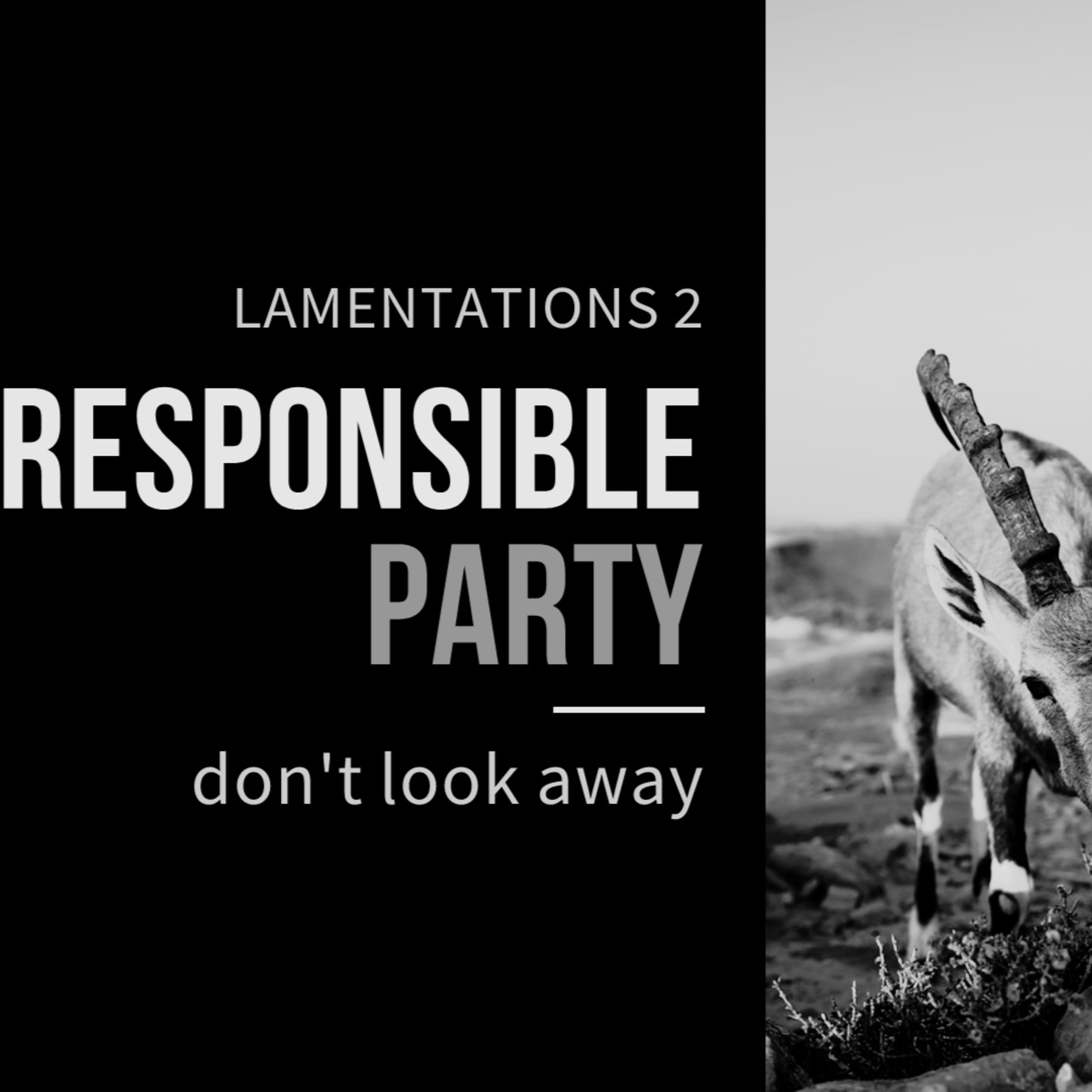 The Responsible Party episode artwork